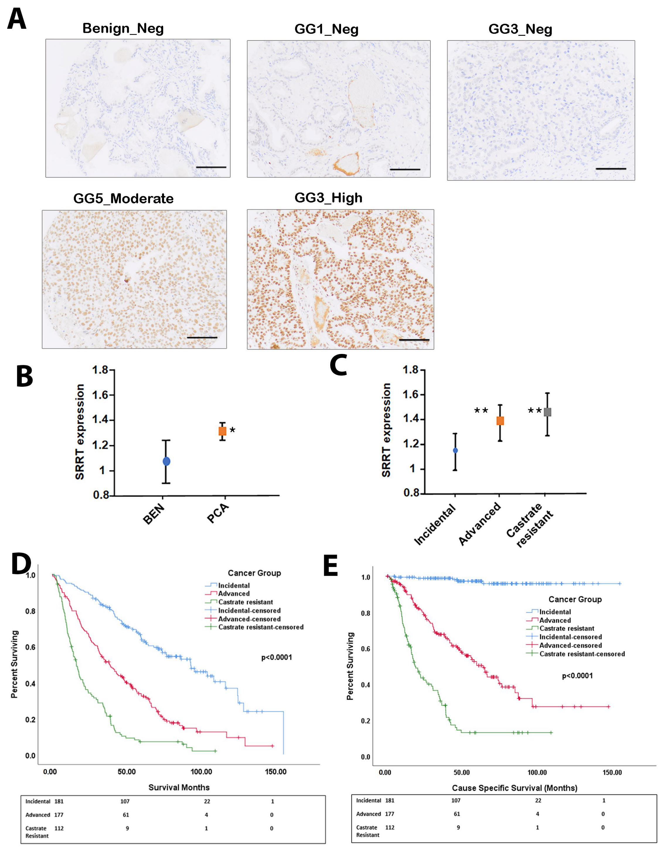Cancers 15 02867 g001
