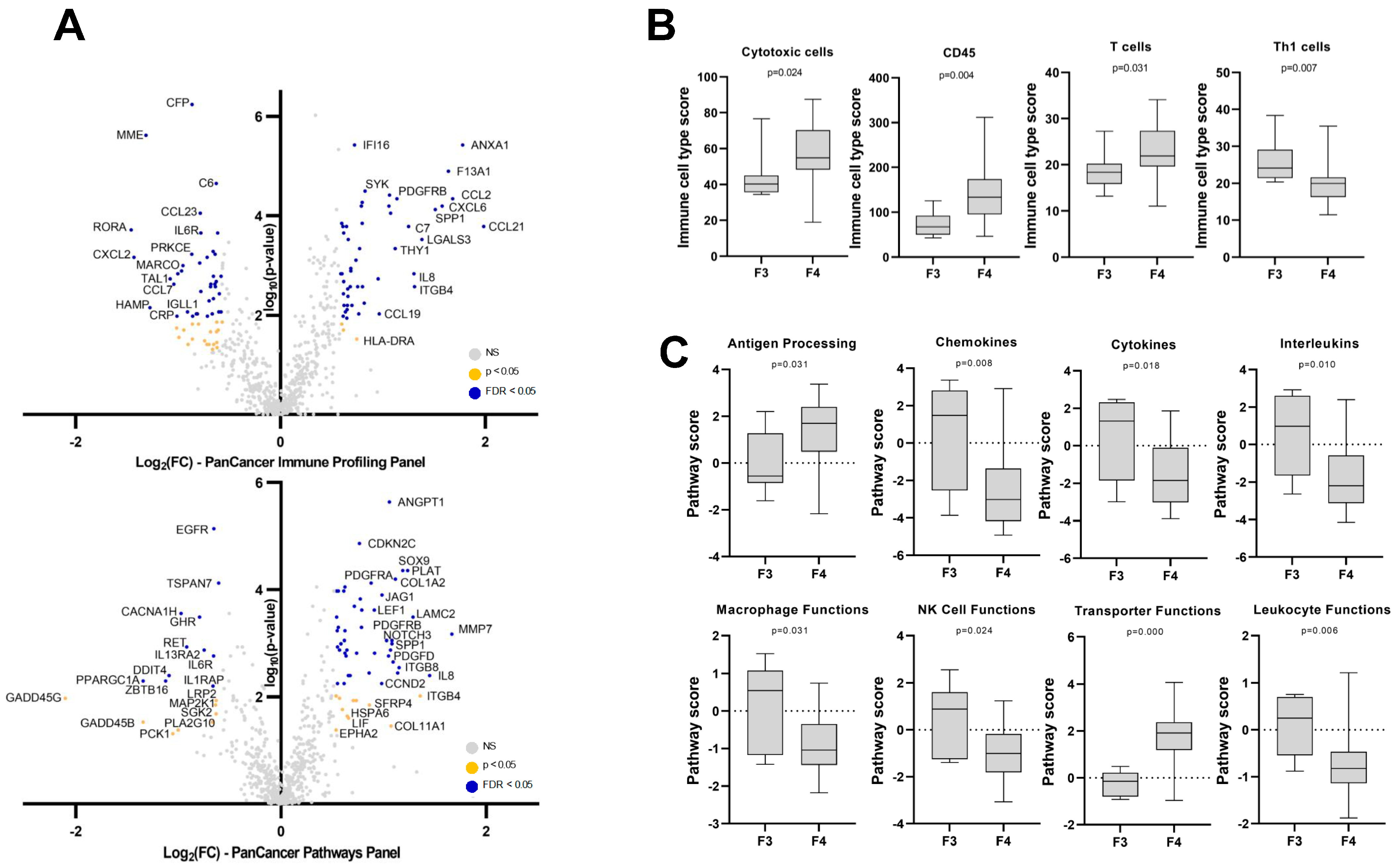 Cancers 15 02871 g002