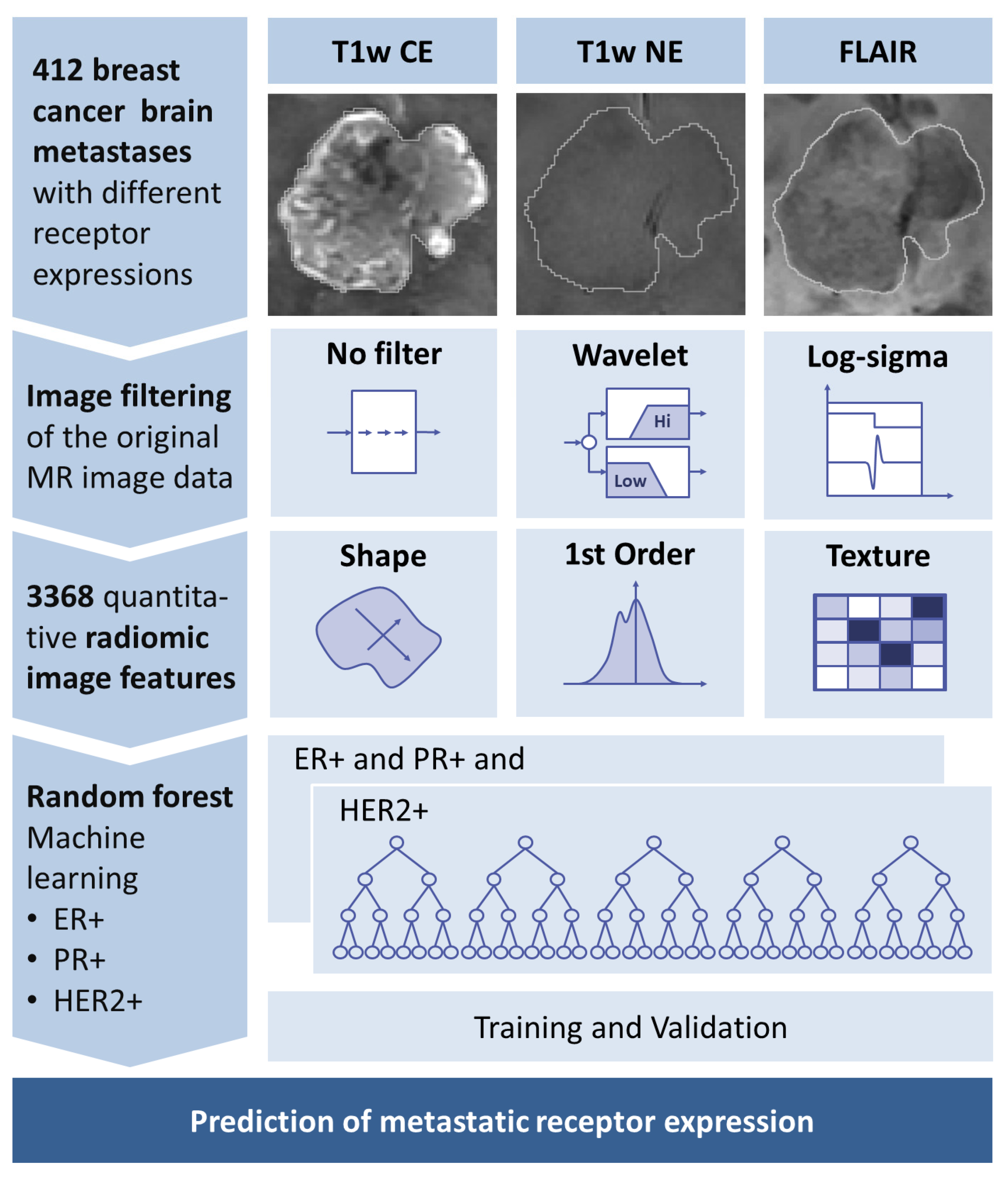 Cancers 15 02880 g001