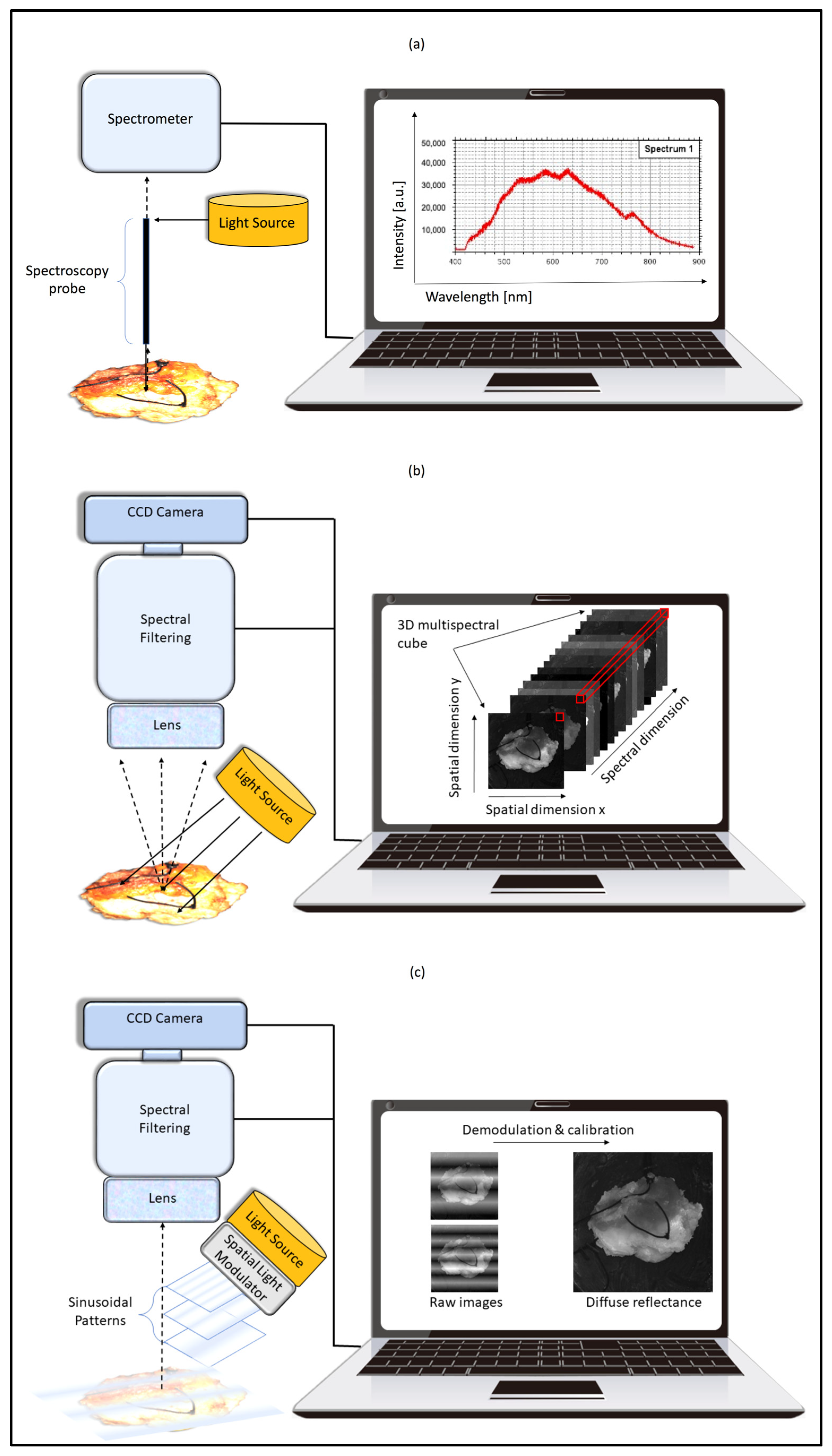 Cancers 15 02884 g001