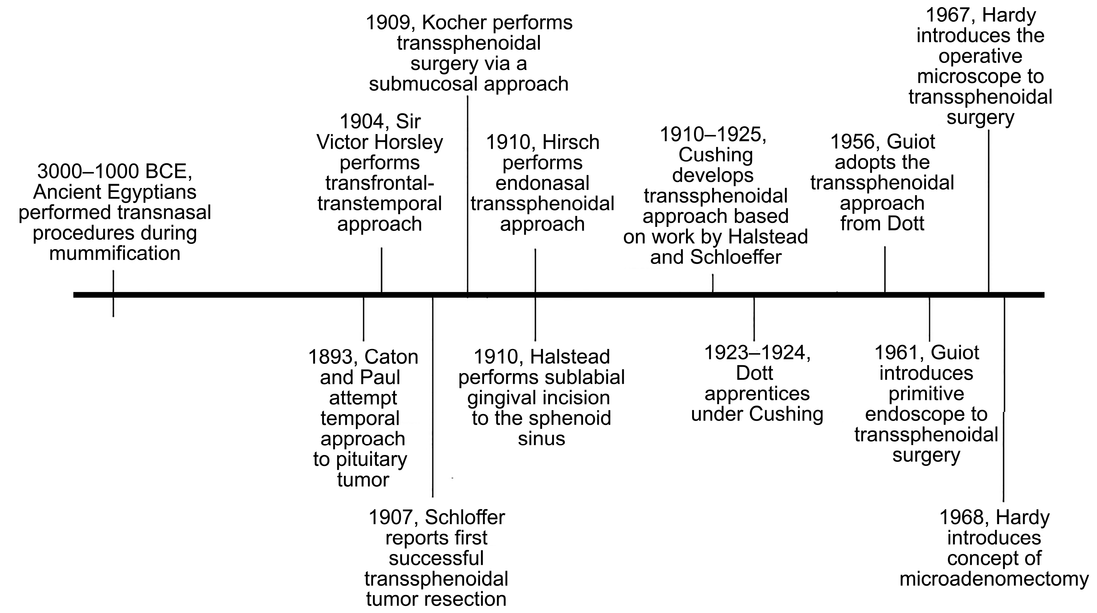 Cancers 15 02896 g002