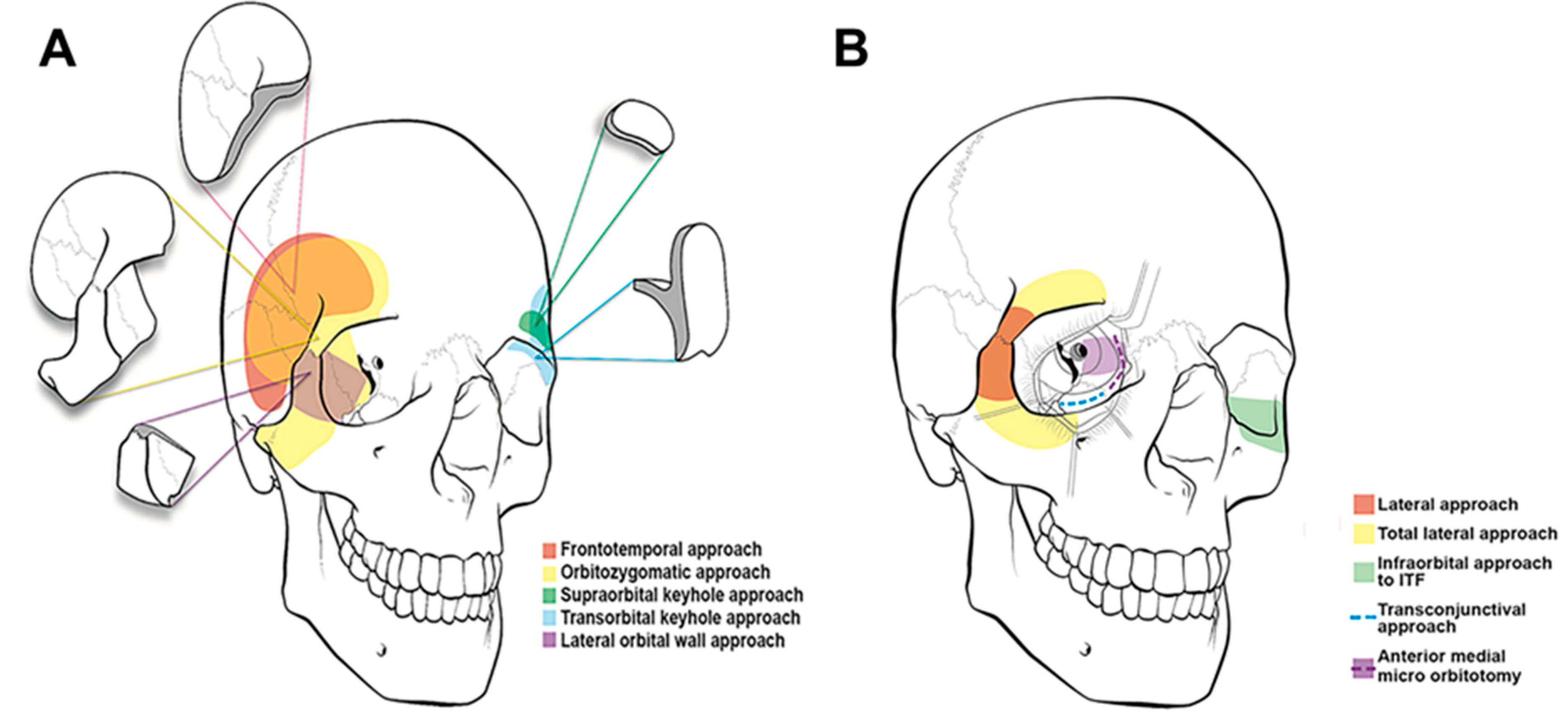 Cancers 15 02896 g005