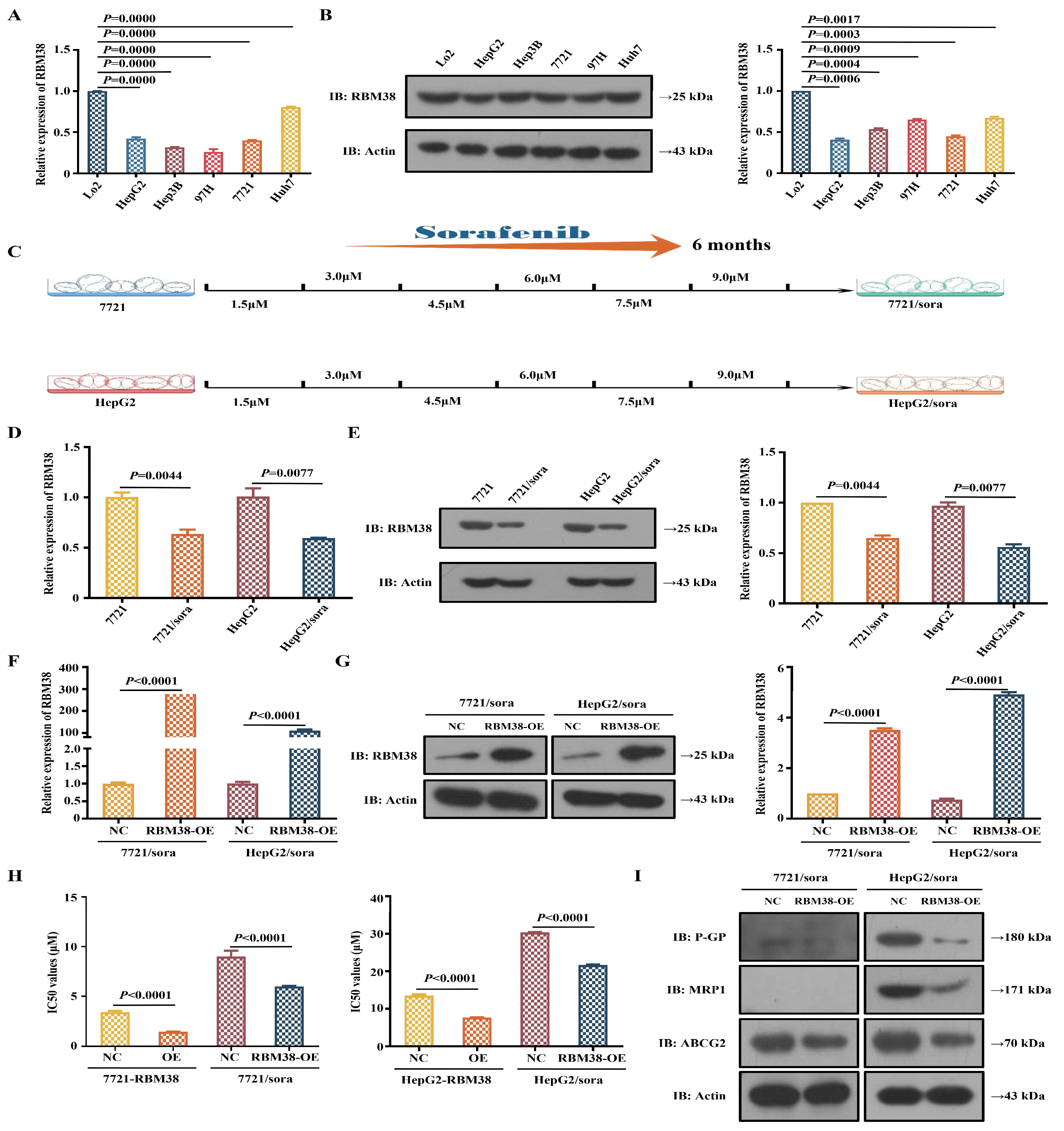 Cancers 15 02897 g001