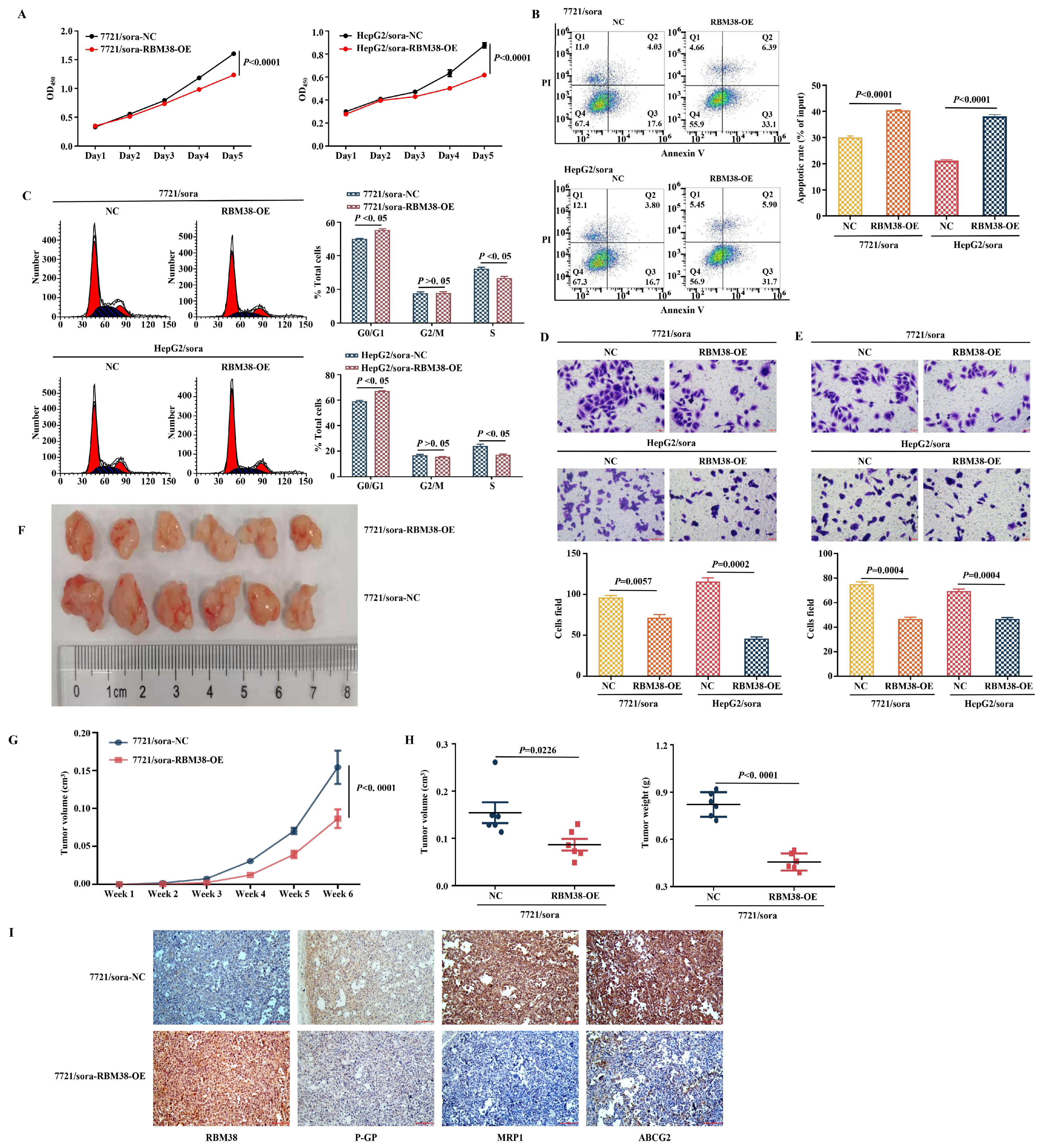 Cancers 15 02897 g002