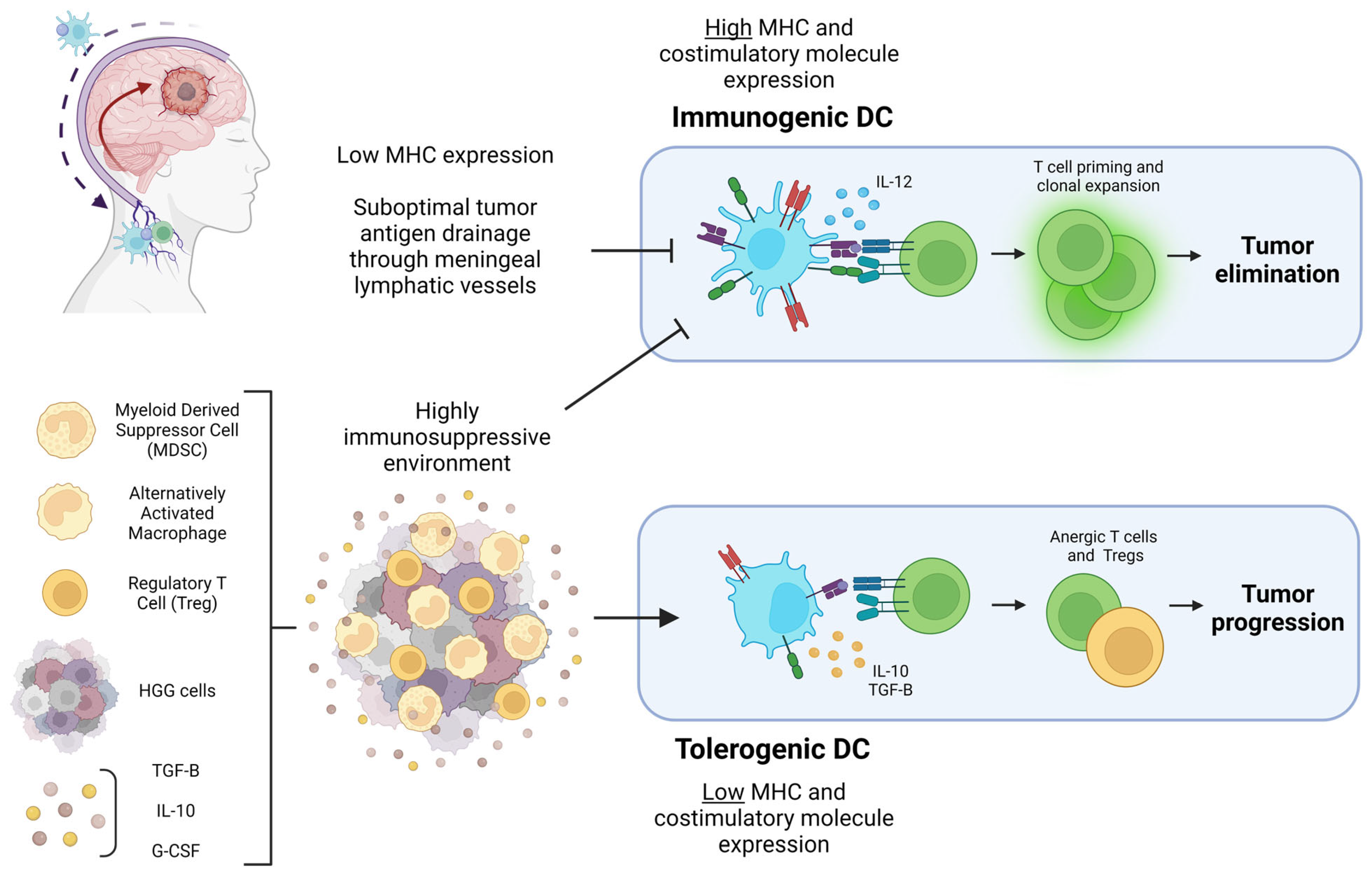 Cancers 15 02902 g001 Cancers 15 02902 g001