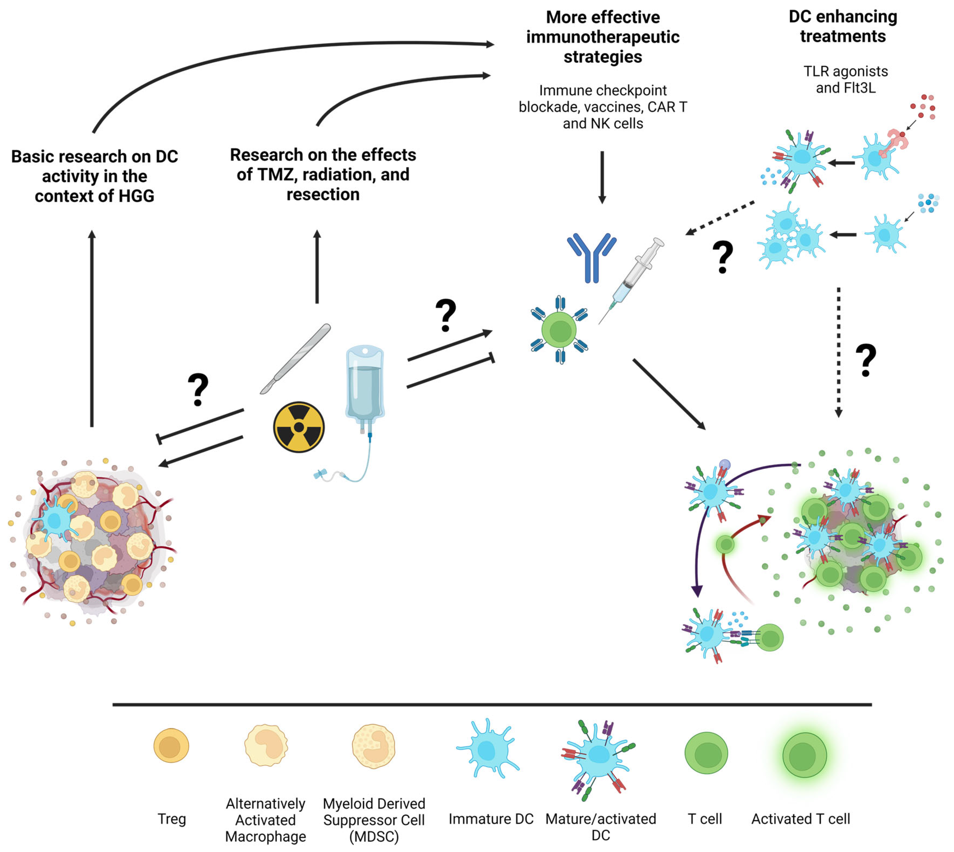 Cancers 15 02902 g002 Cancers 15 02902 g002