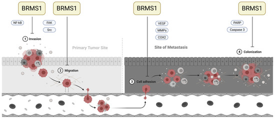 Cancers 15 02907 g001