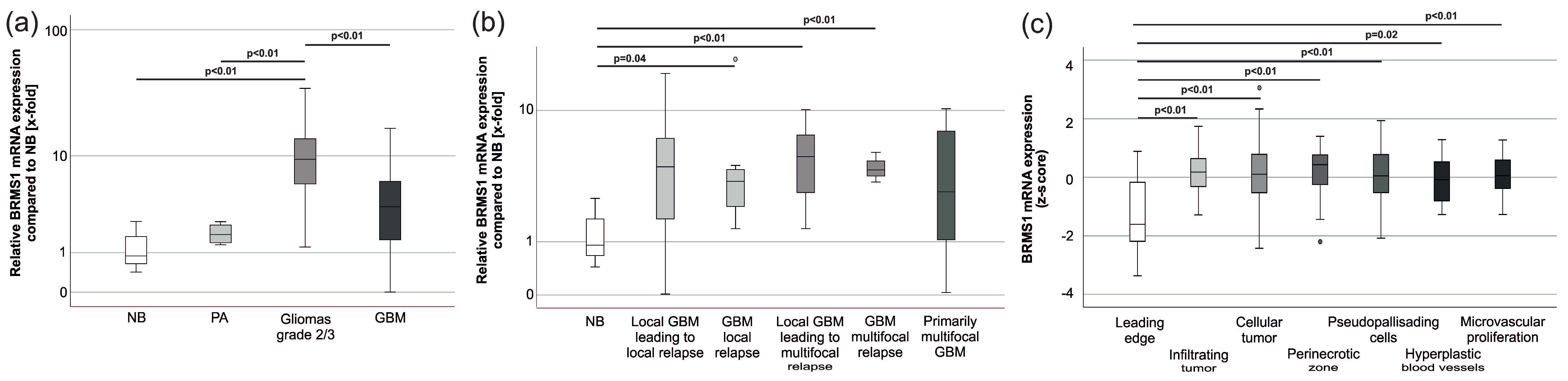 Cancers 15 02907 g003