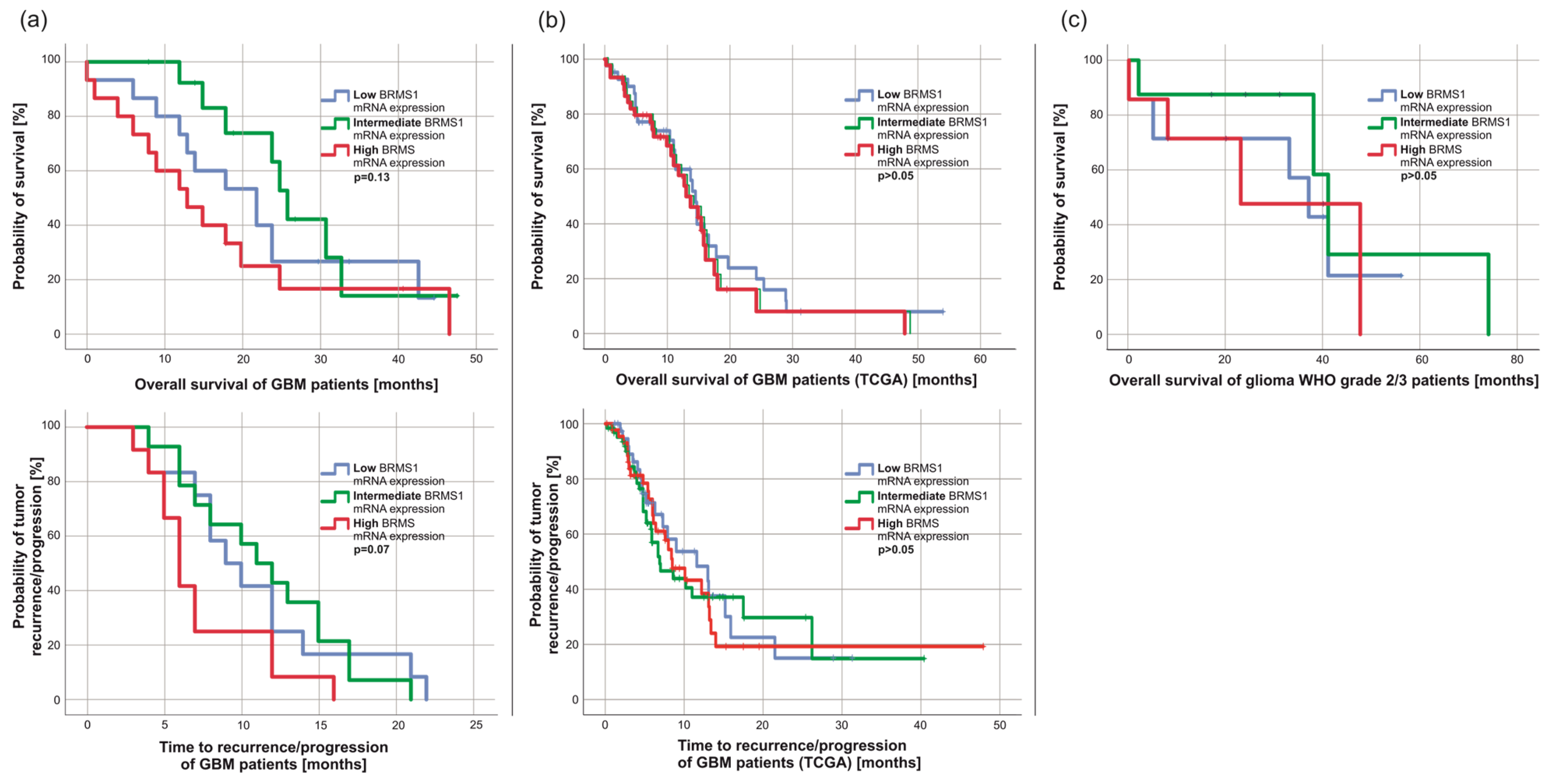 Cancers 15 02907 g004