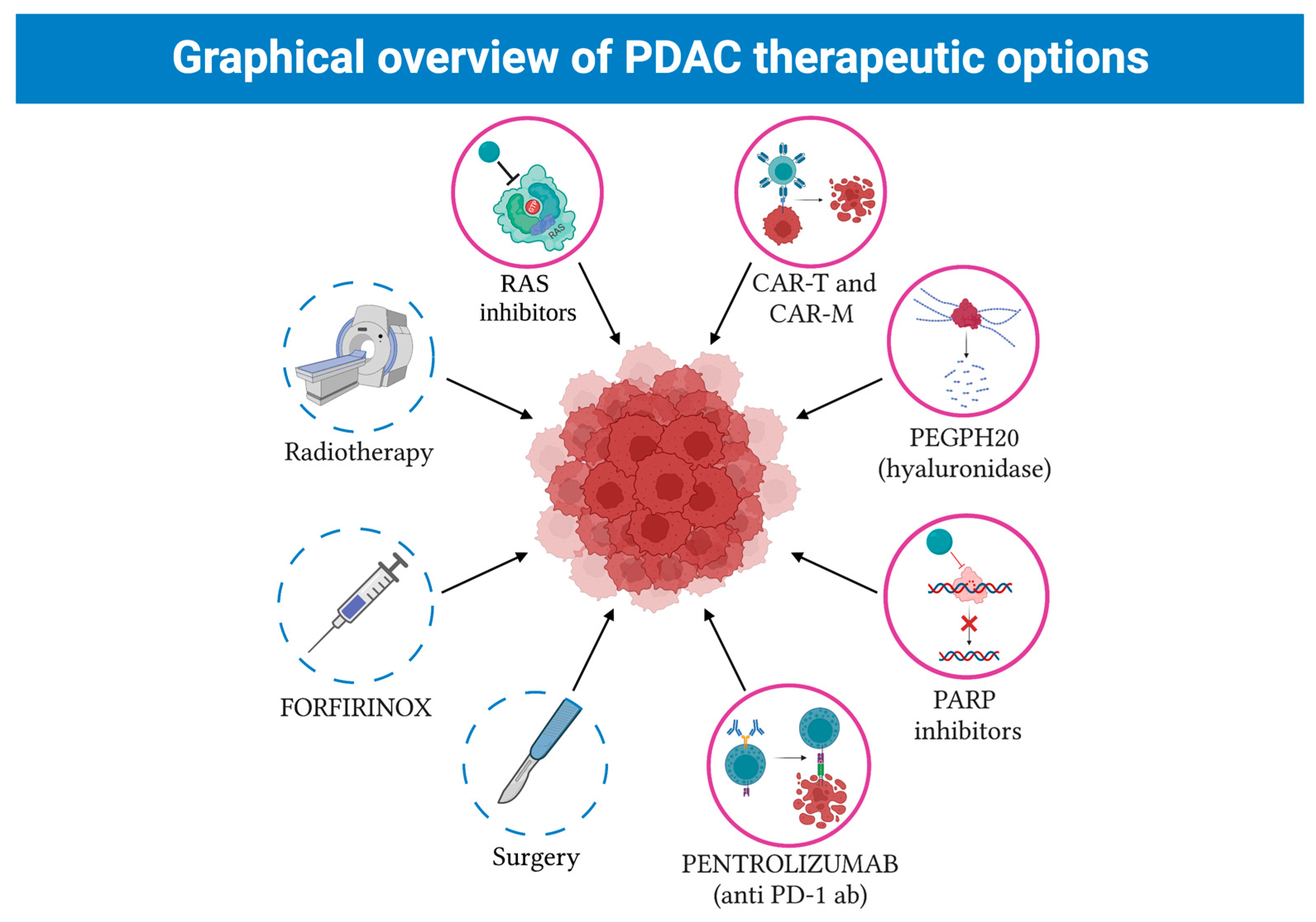 Cancers 15 02923 g004