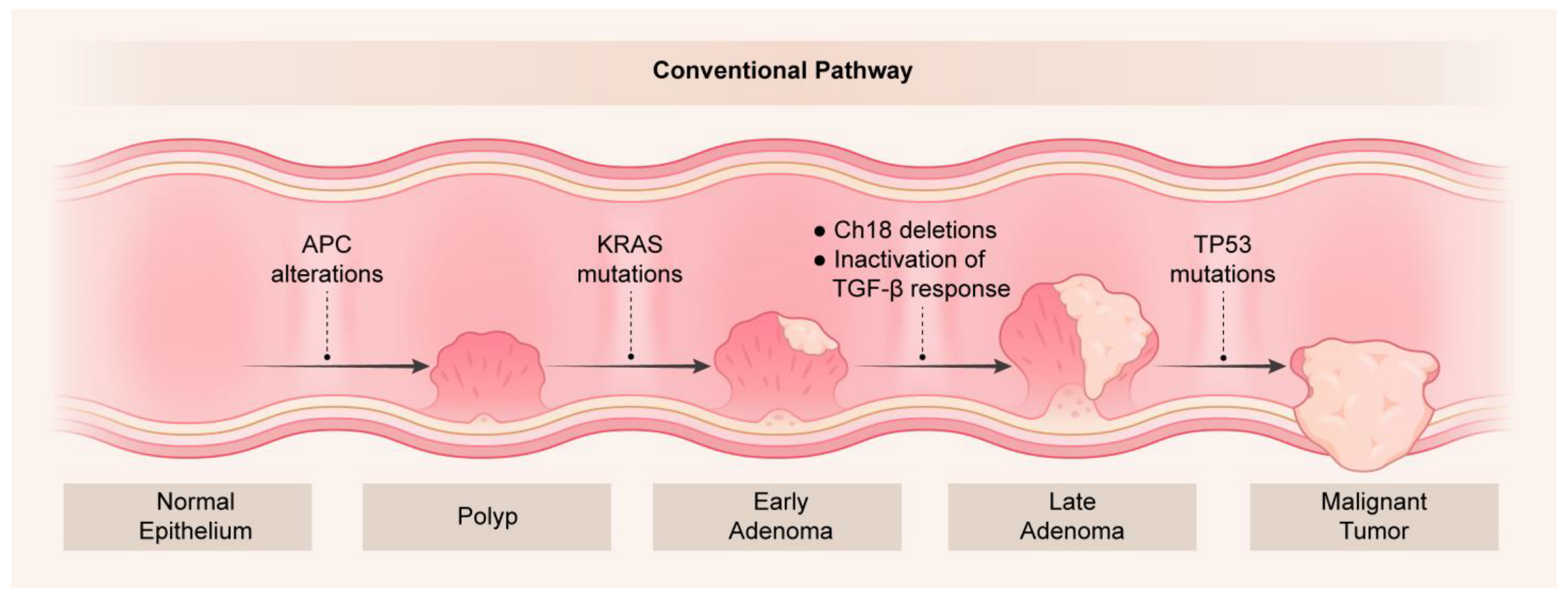 Cancers 15 02934 g001