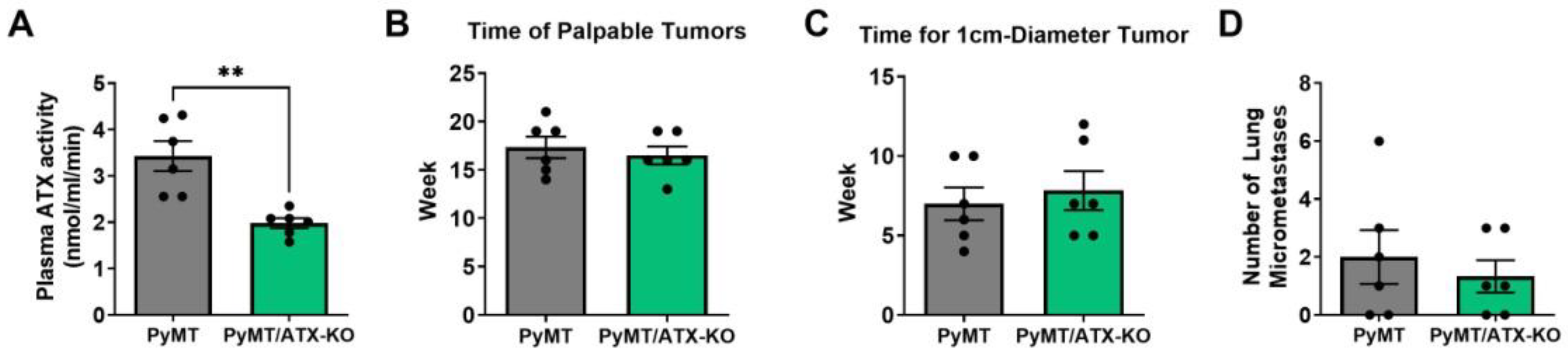 Cancers 15 02937 g002