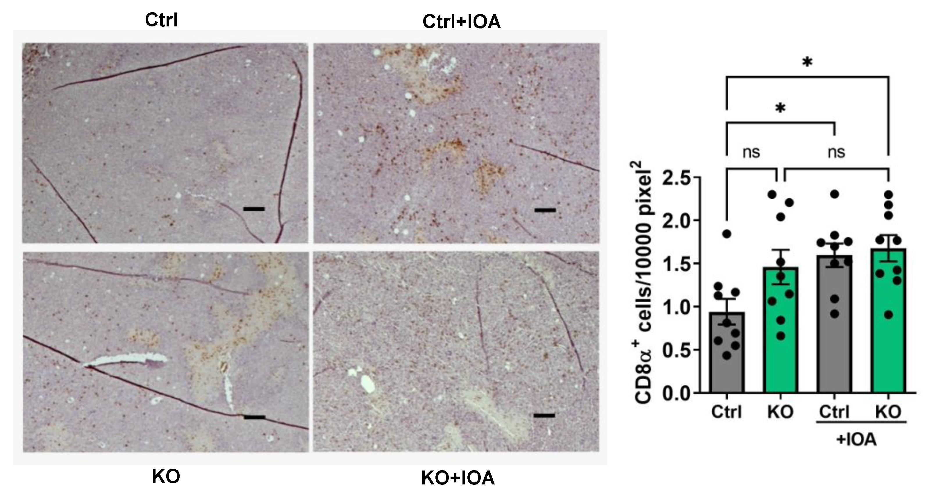 Cancers 15 02937 g008