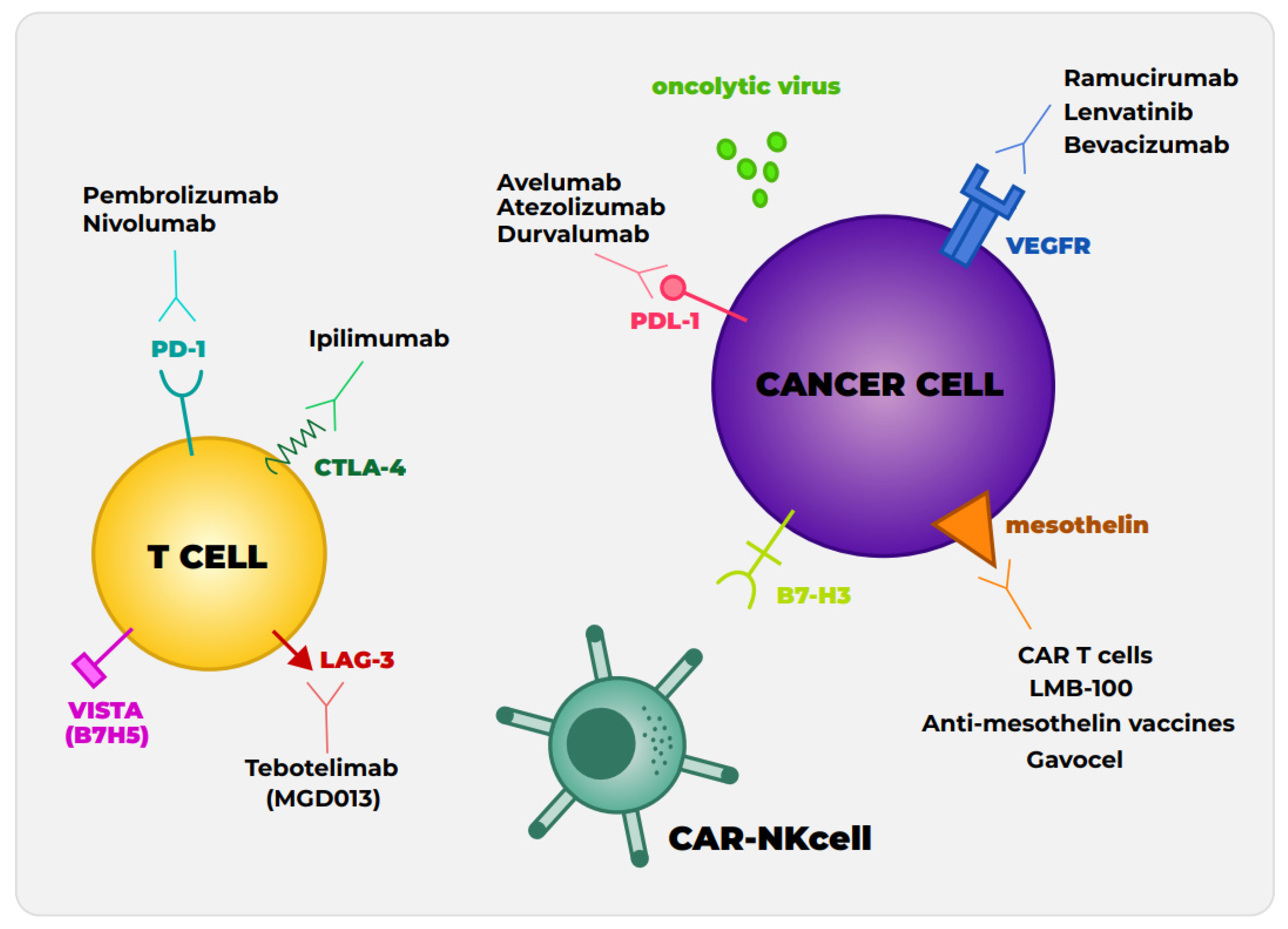 Cancers 15 02940 g001 Cancers 15 02940 g001