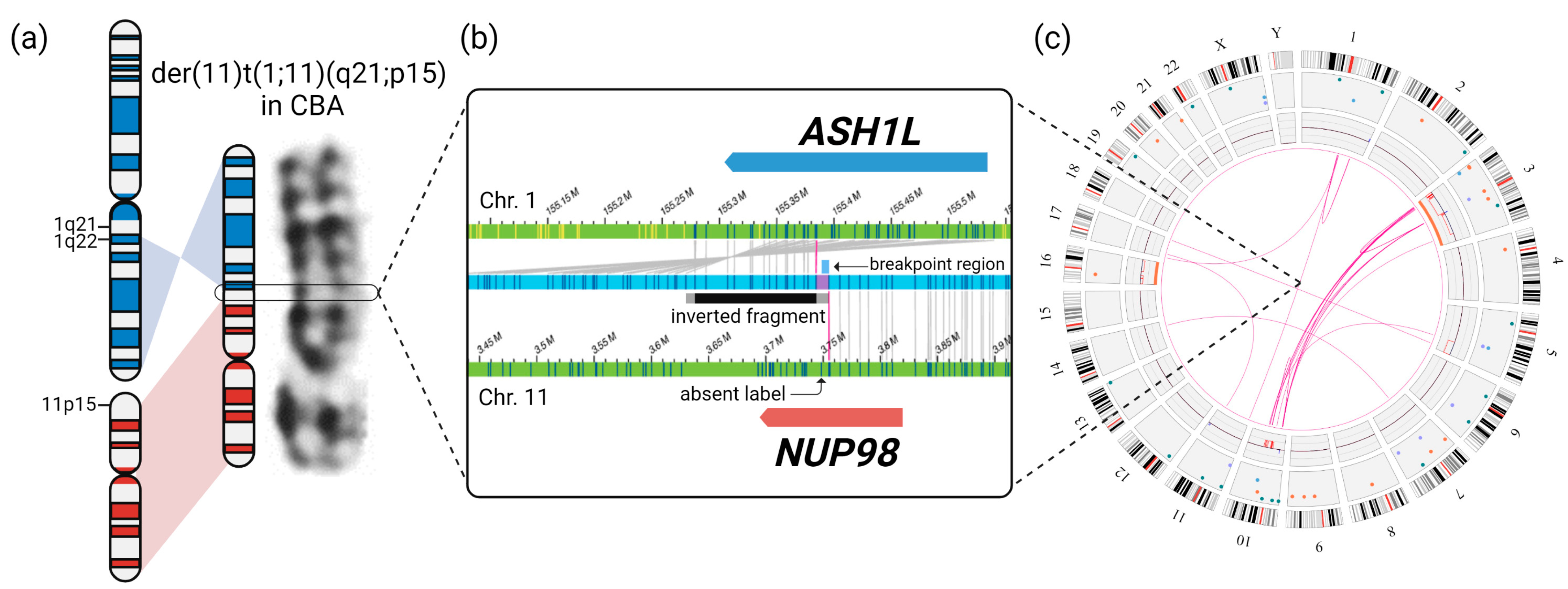 Cancers 15 02942 g002