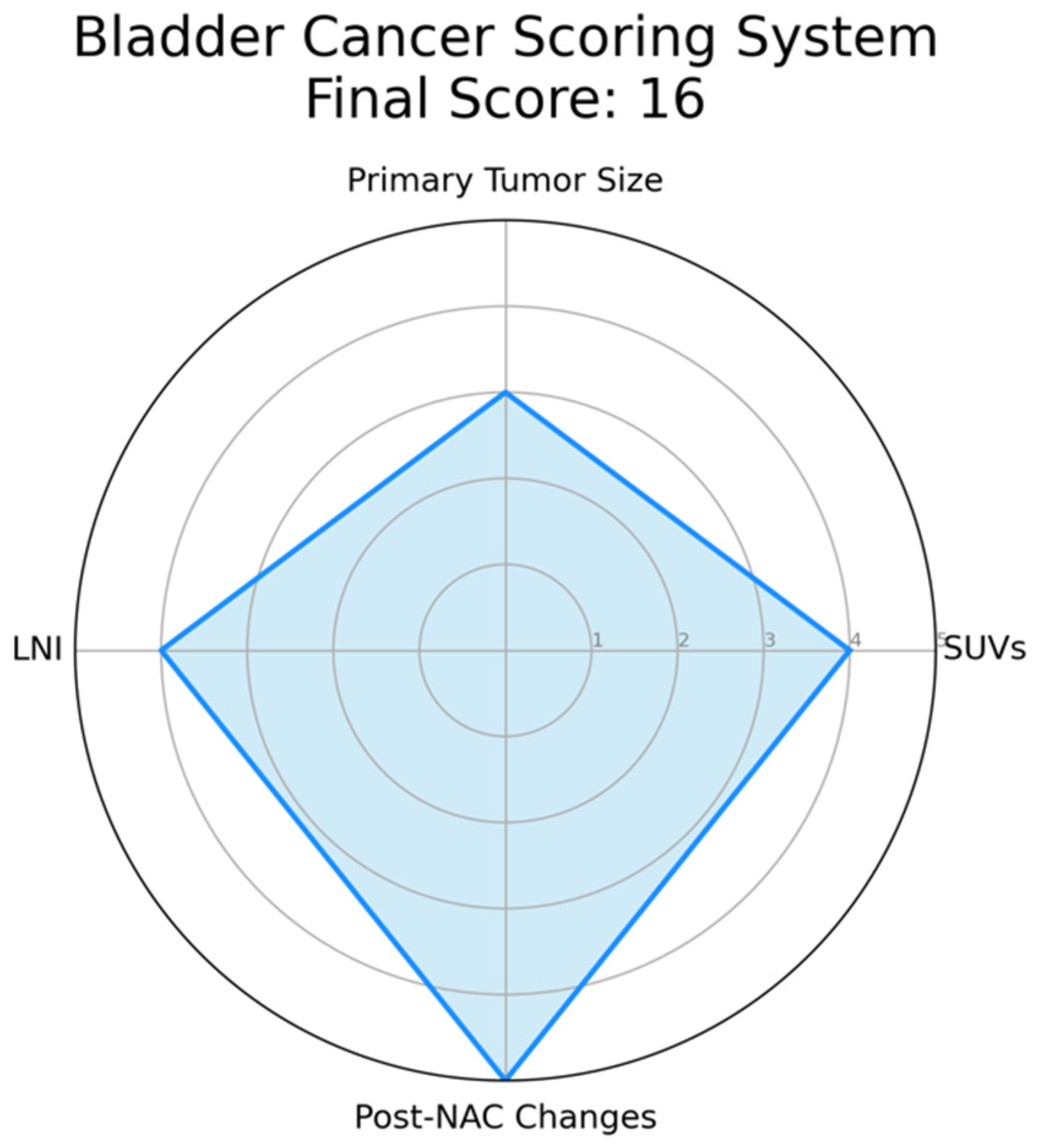 Cancers 15 02951 g001 Cancers 15 02951 g001