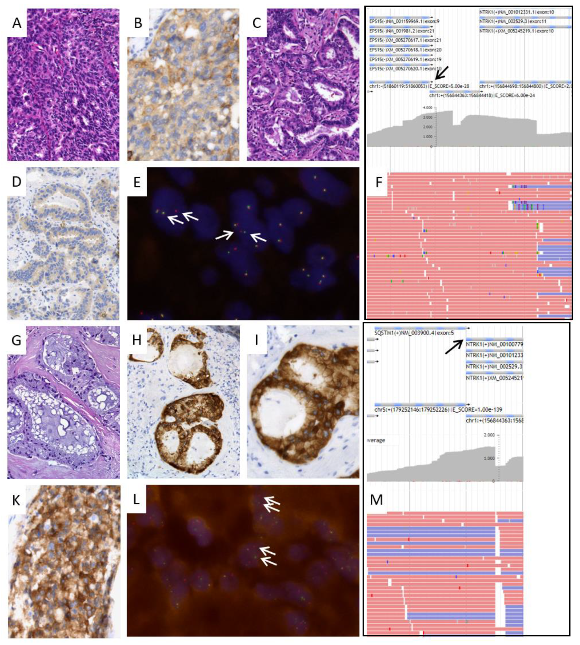 Cancers 15 02966 g002