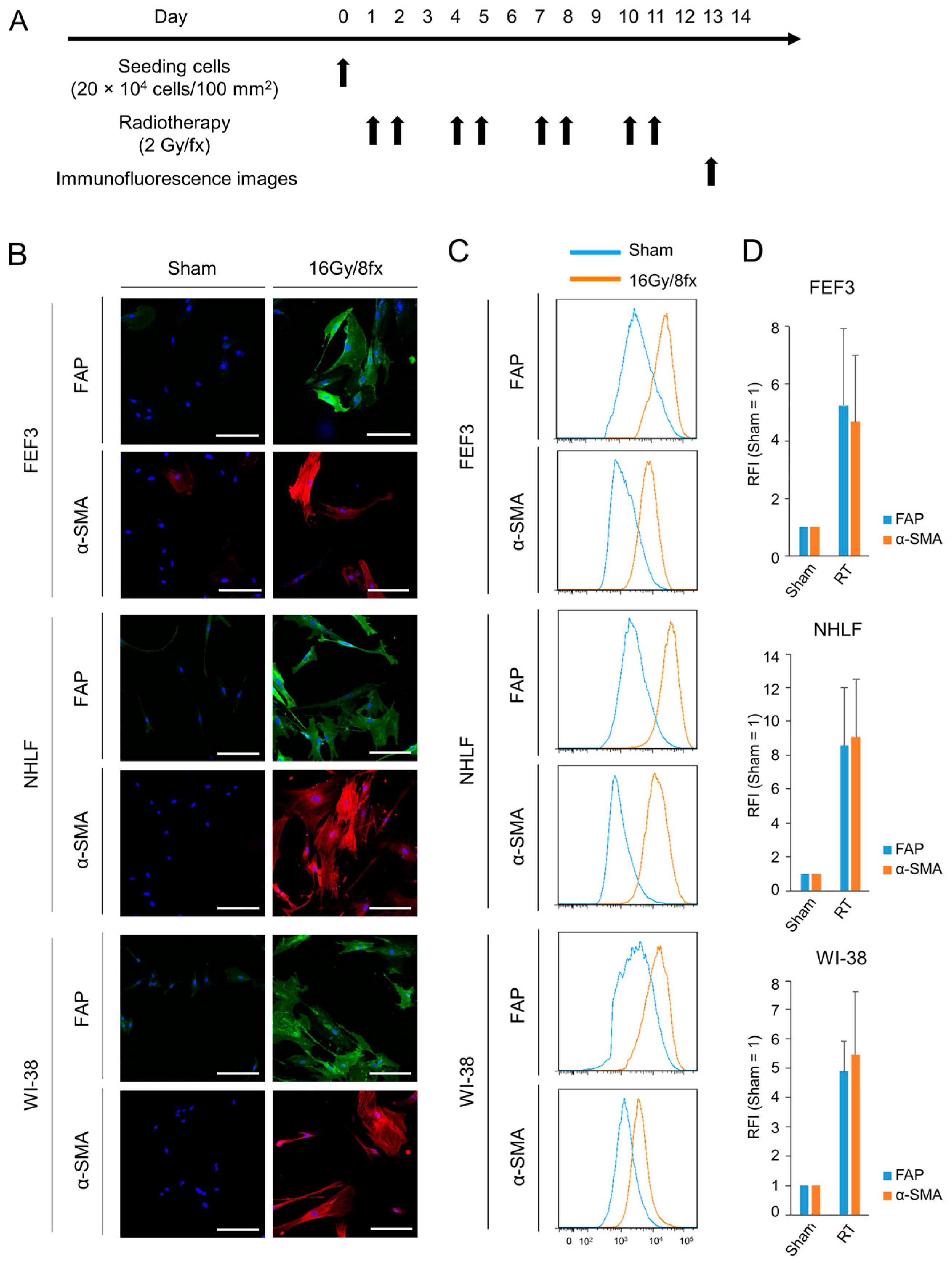 Cancers 15 02971 g003
