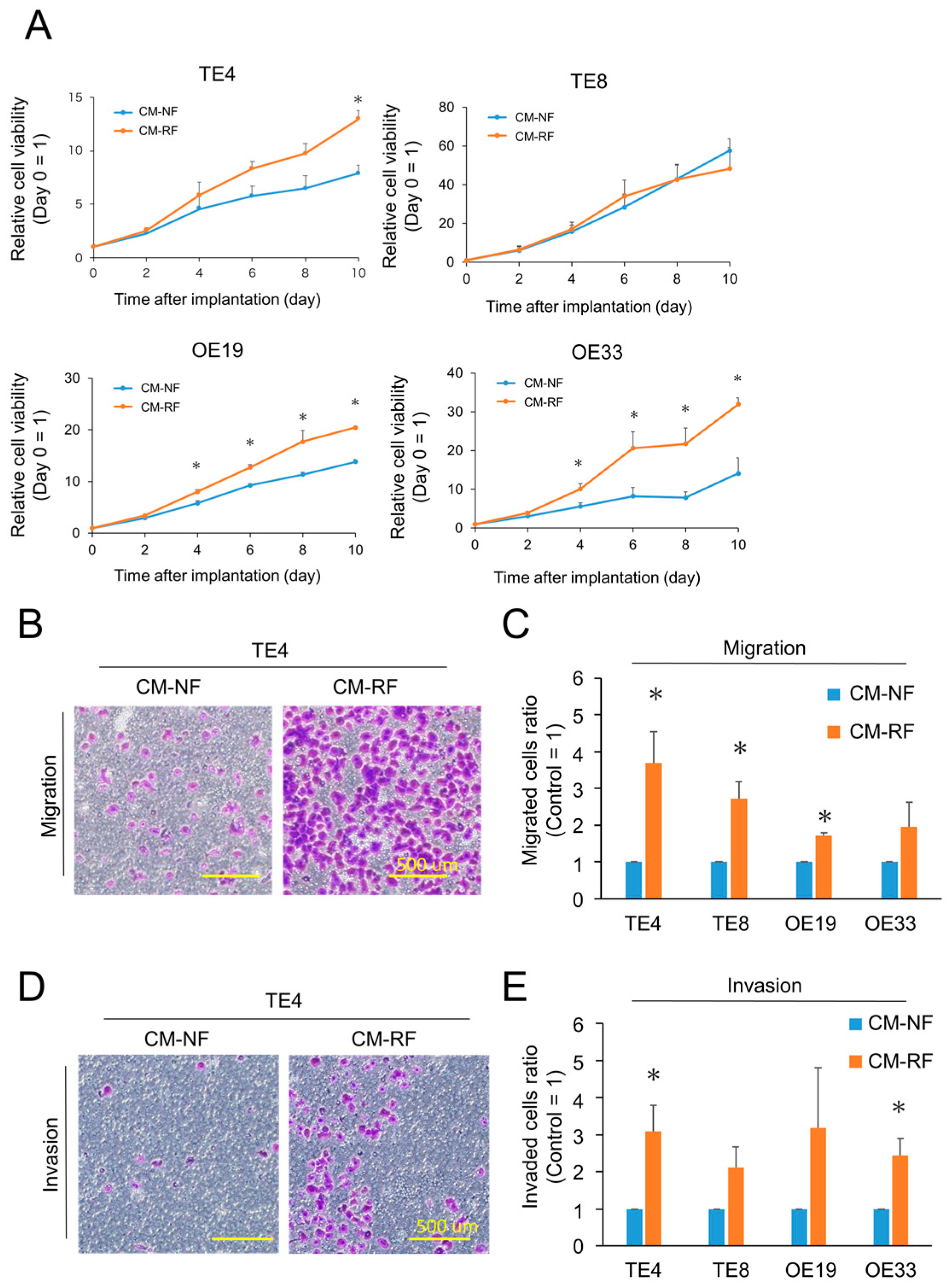 Cancers 15 02971 g004
