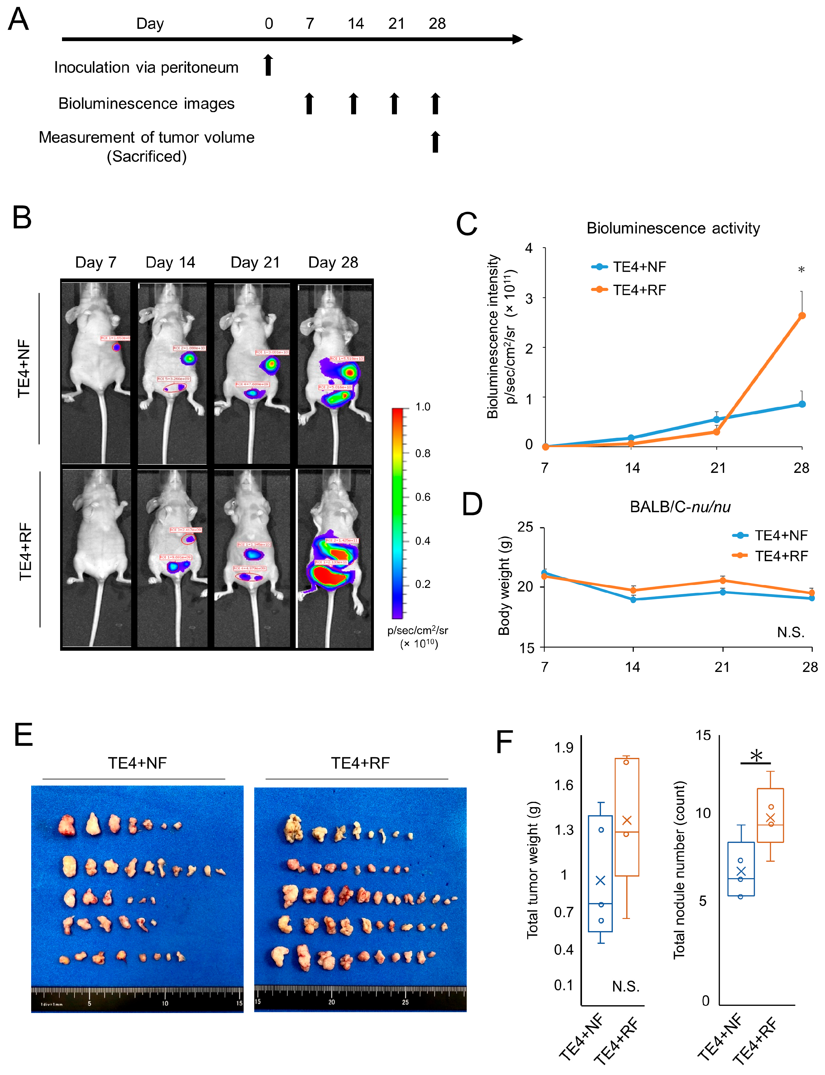 Cancers 15 02971 g005