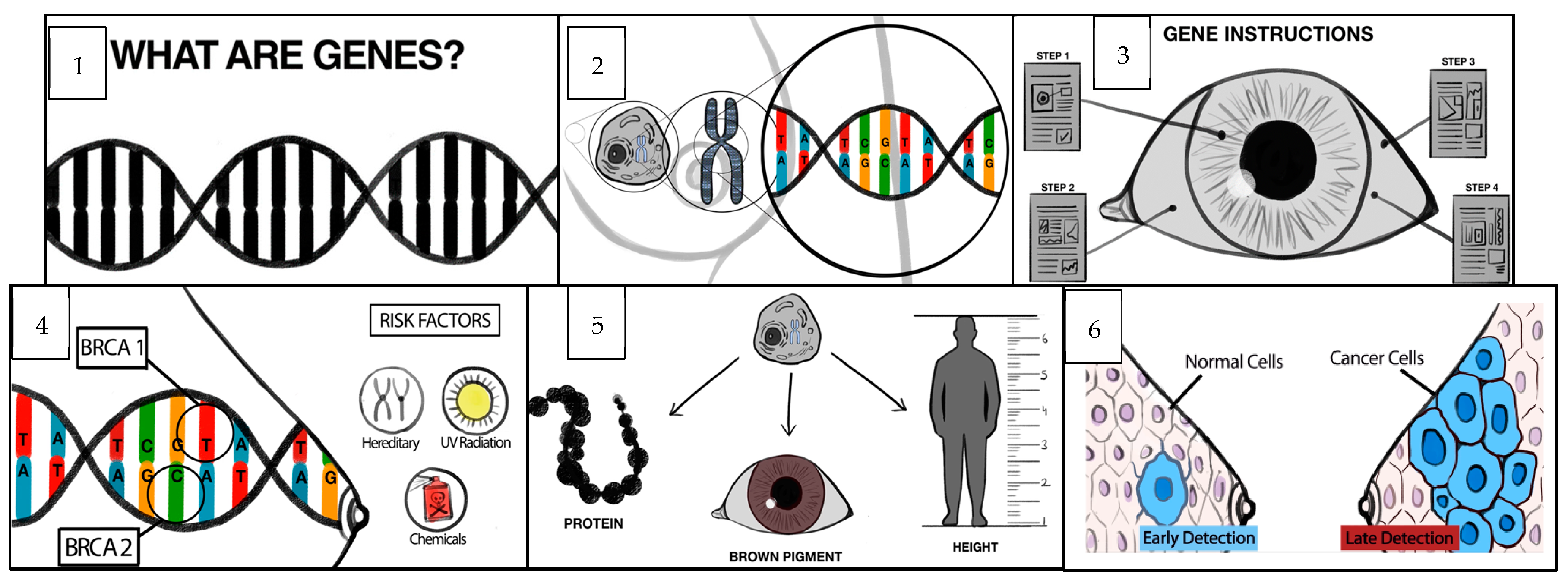 Cancers 15 02973 g003