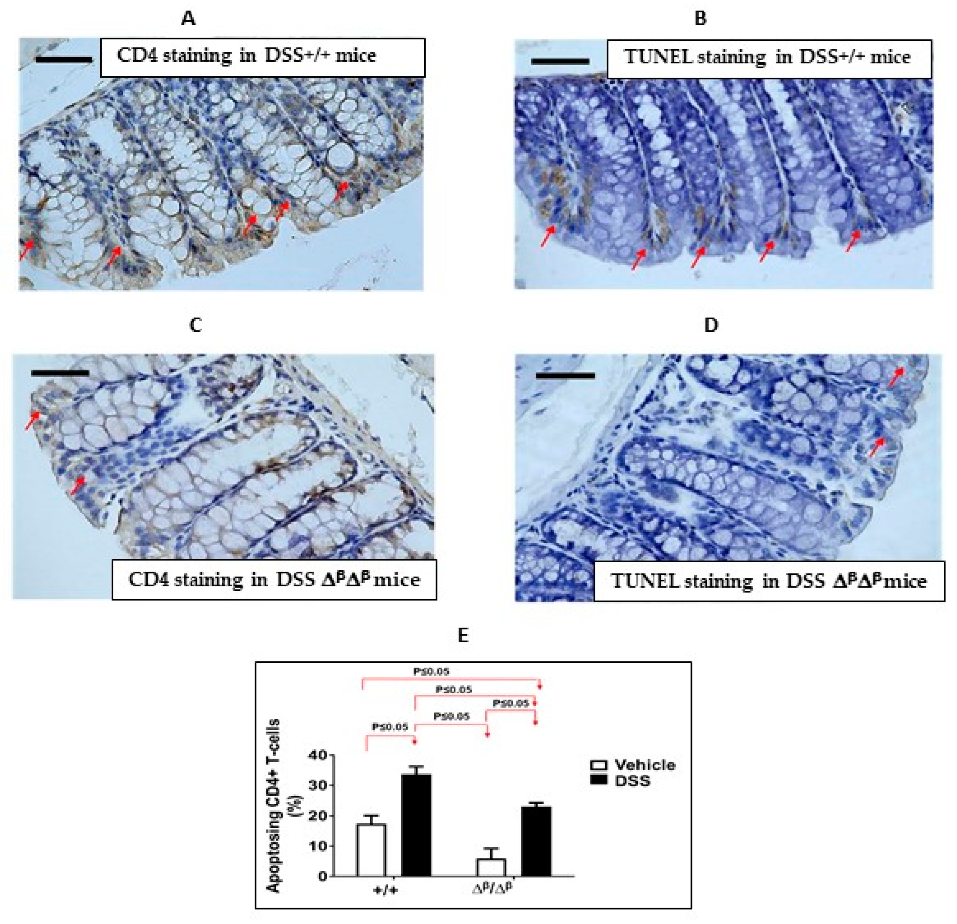 Cancers 15 02977 g002