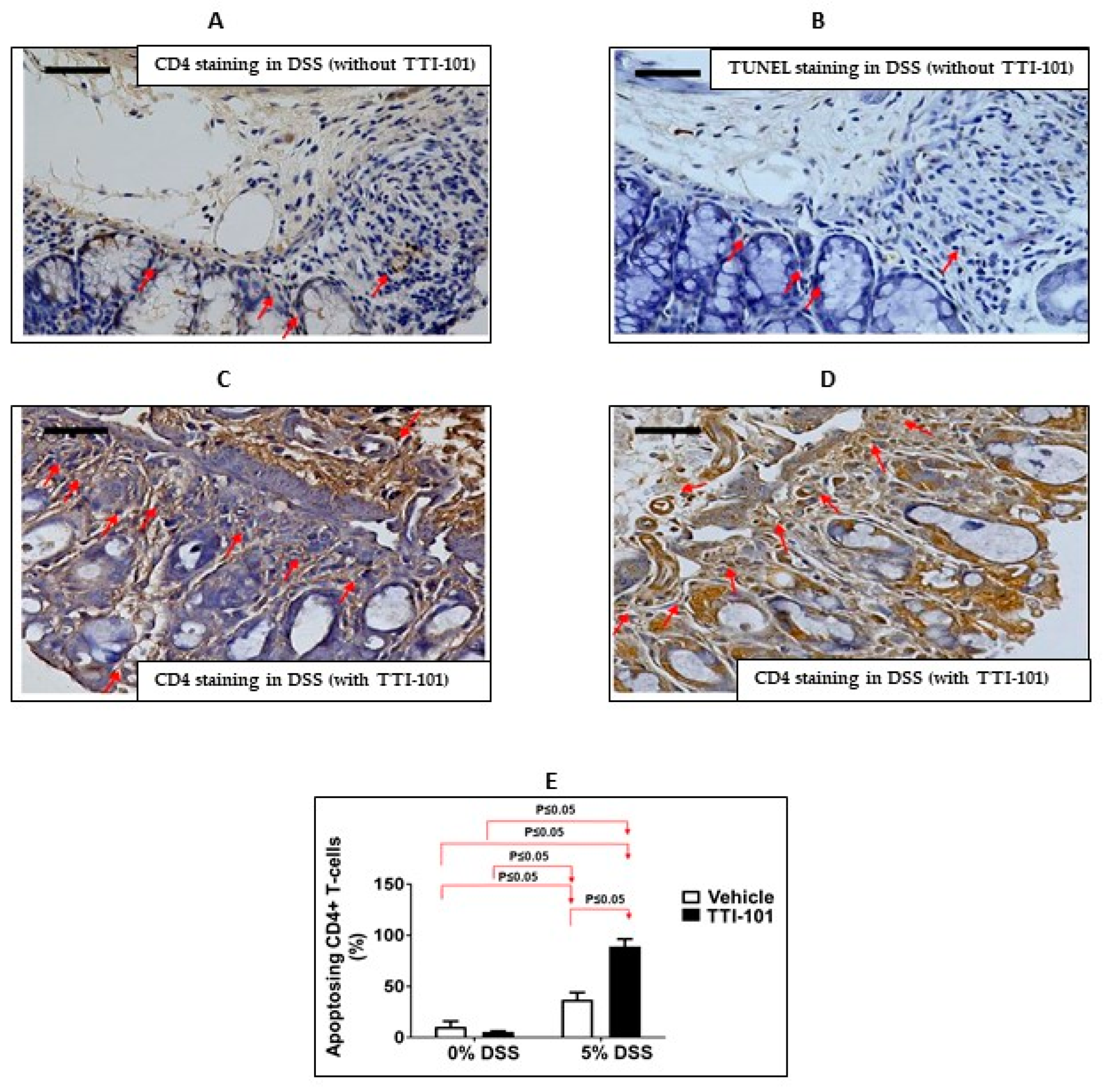 Cancers 15 02977 g005