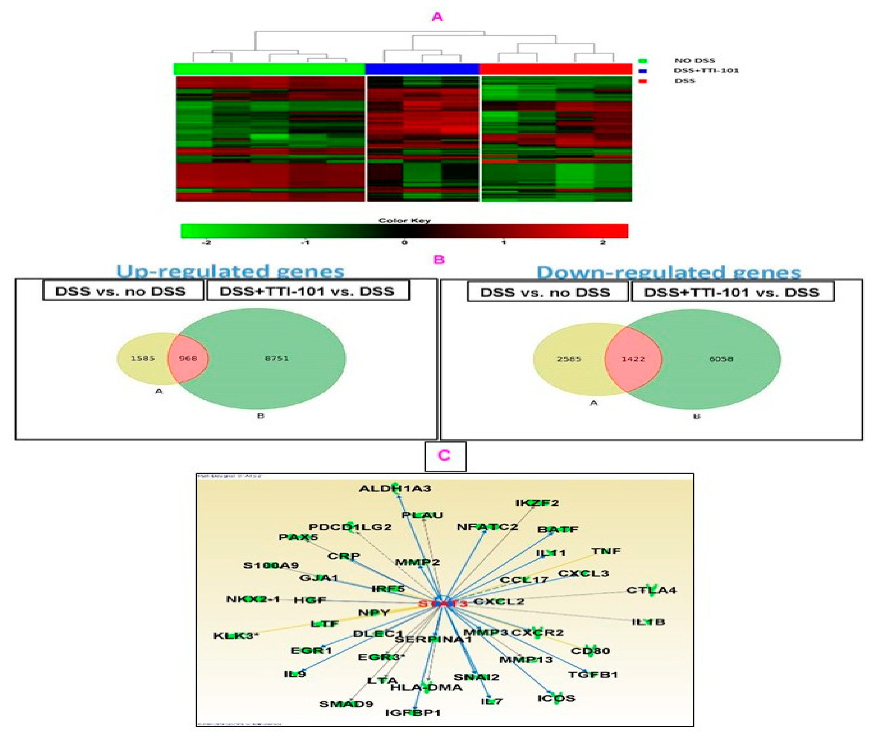 Cancers 15 02977 g007