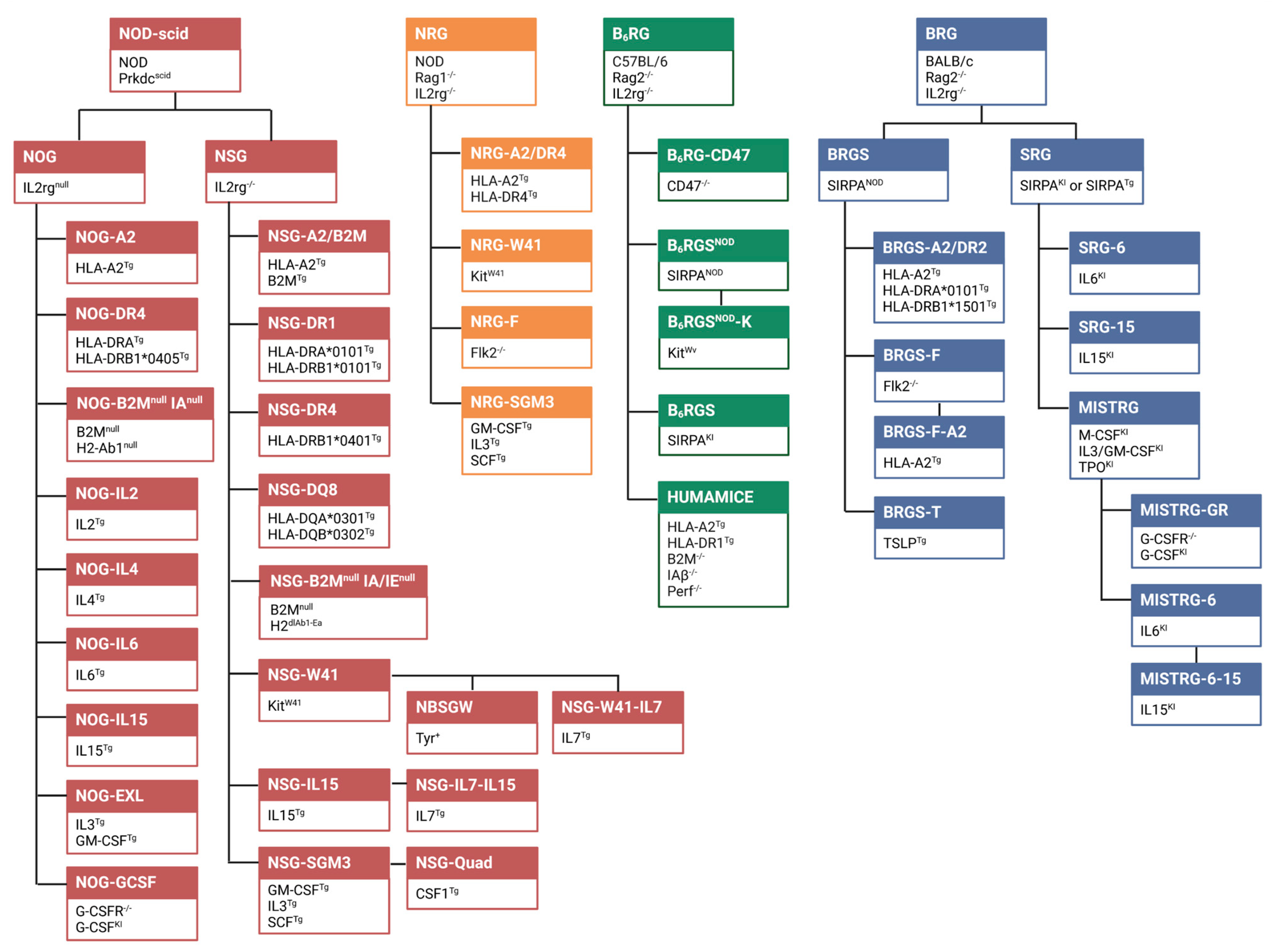 Cancers 15 02989 g001