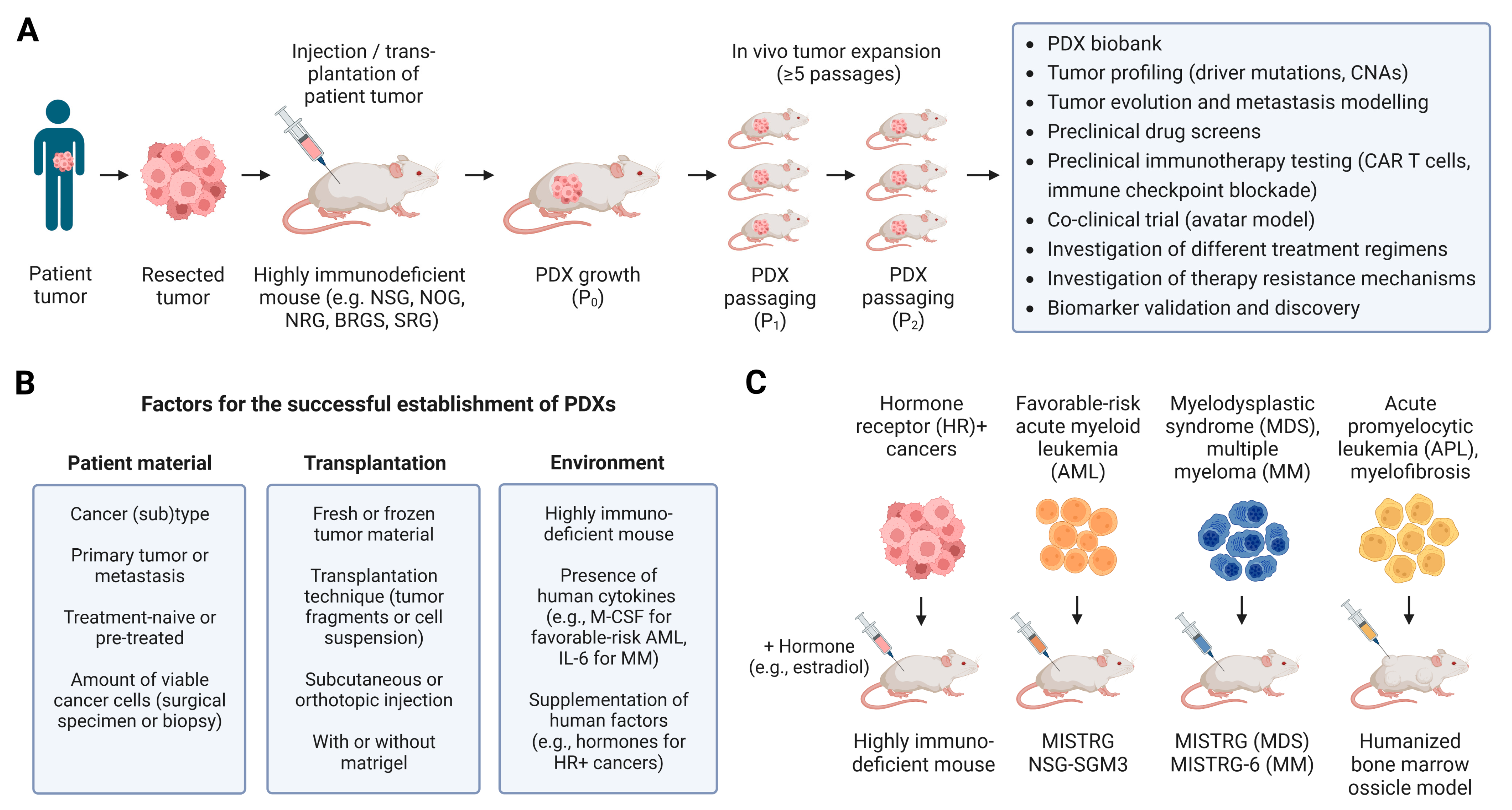Cancers 15 02989 g002