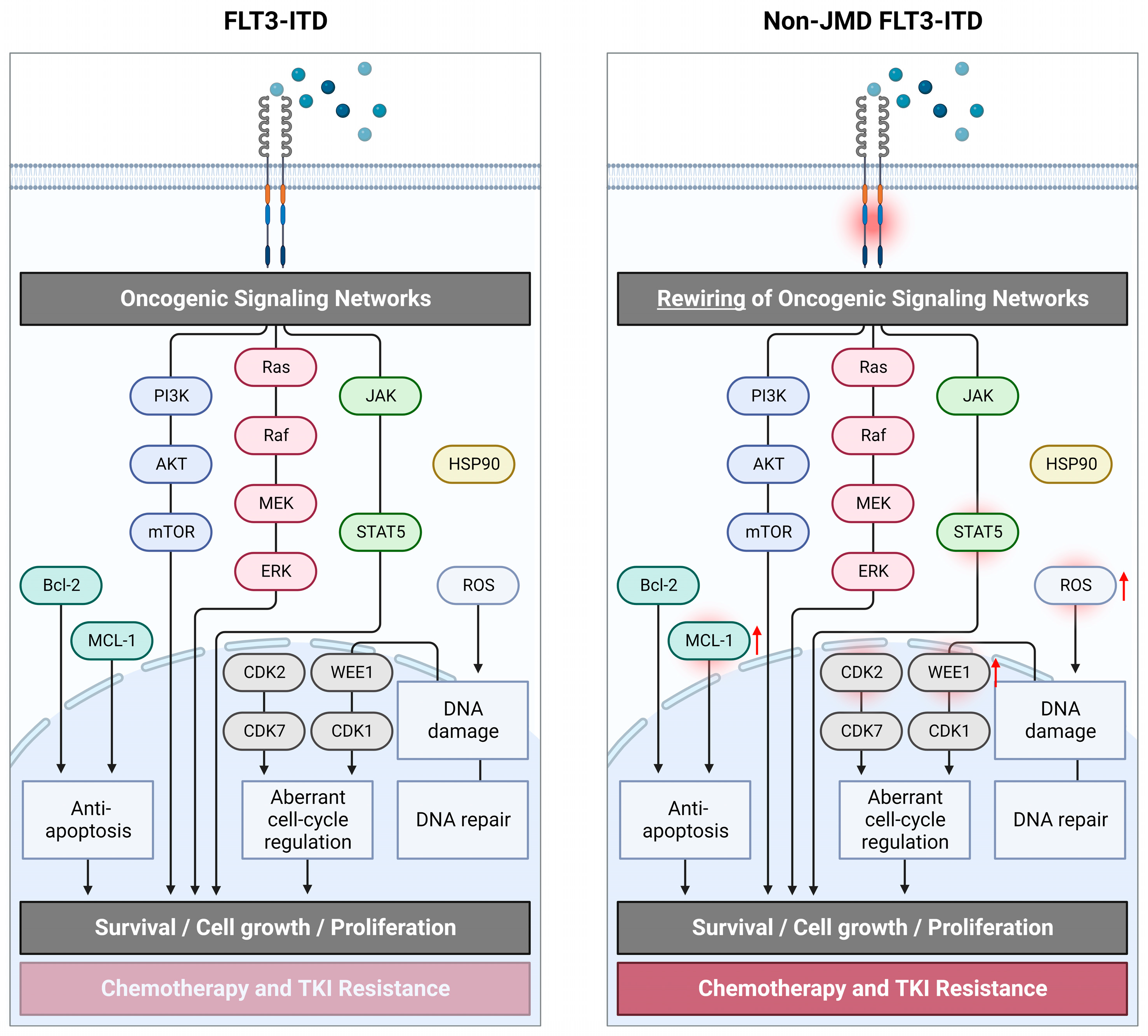 Cancers 15 02991 g002