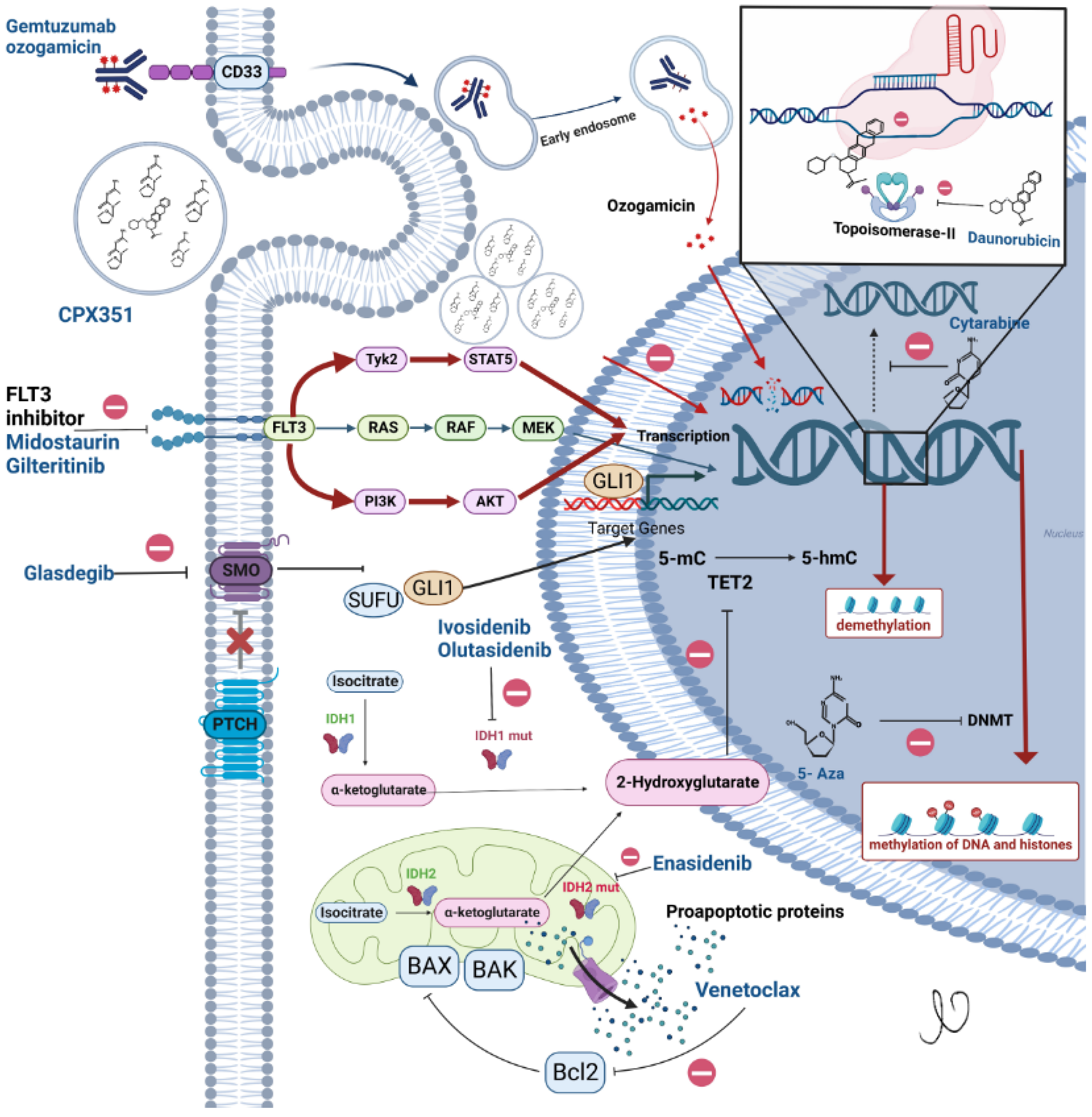 Cancers 15 03002 g002