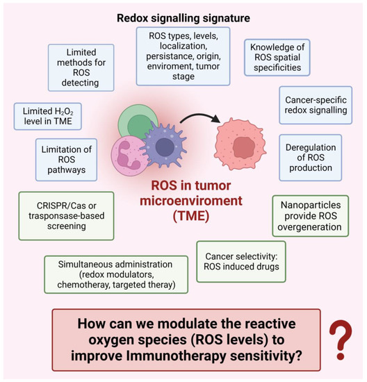 Cancers 15 03009 g004
