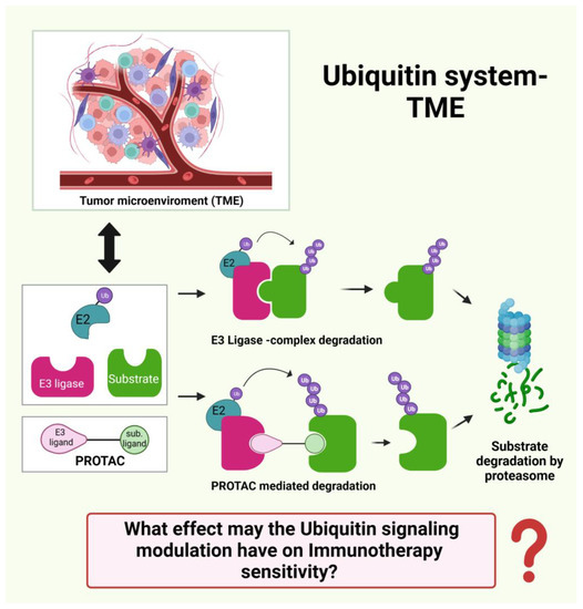 Cancers 15 03009 g005