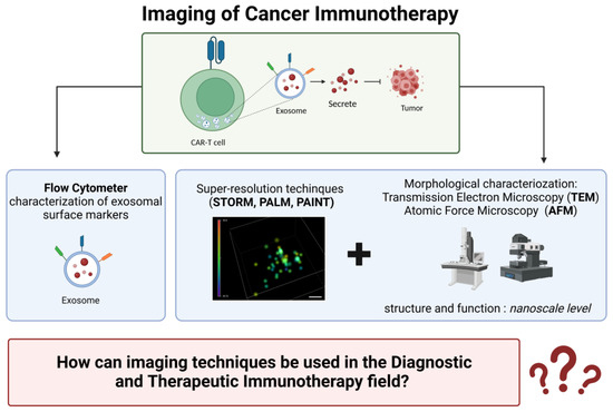 Cancers 15 03009 g006