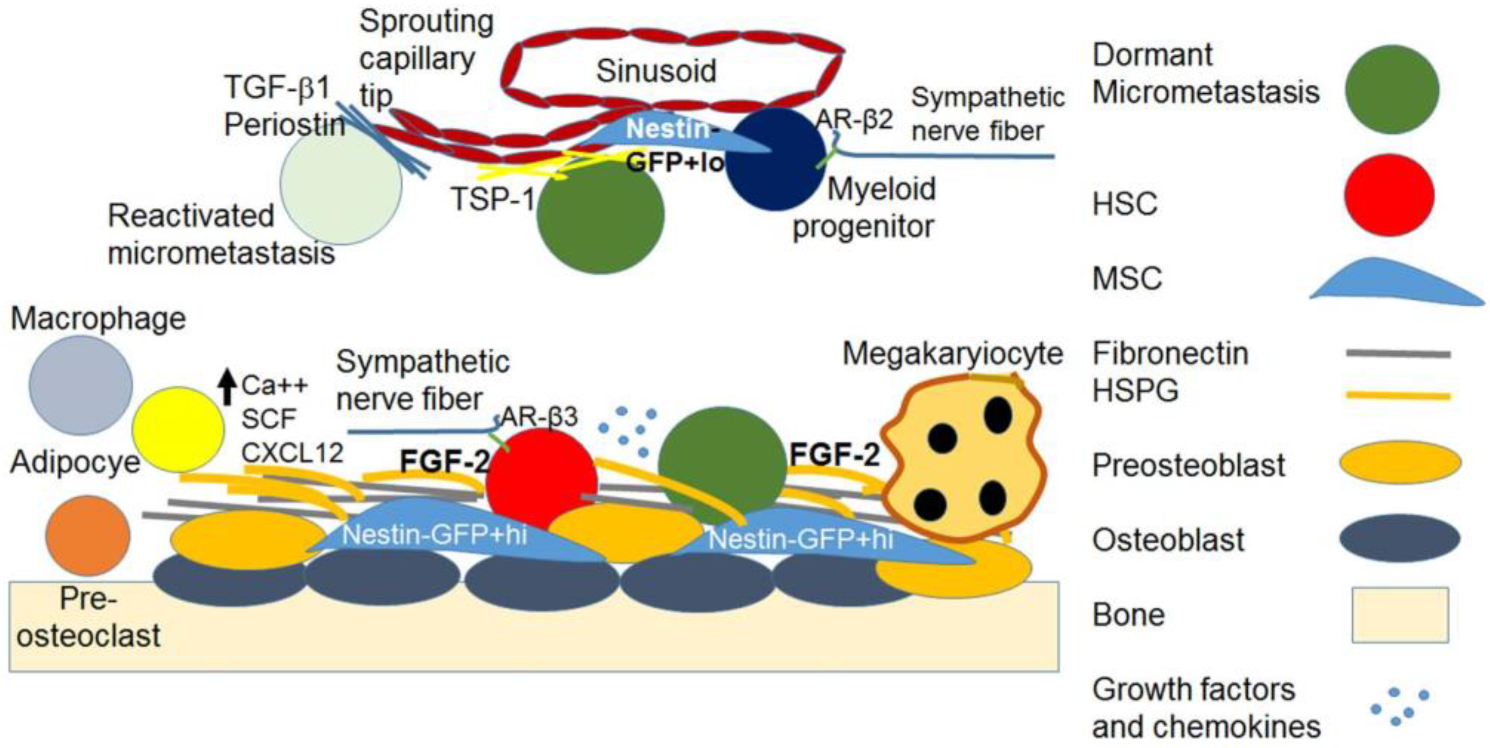 Cancers 15 03021 g001