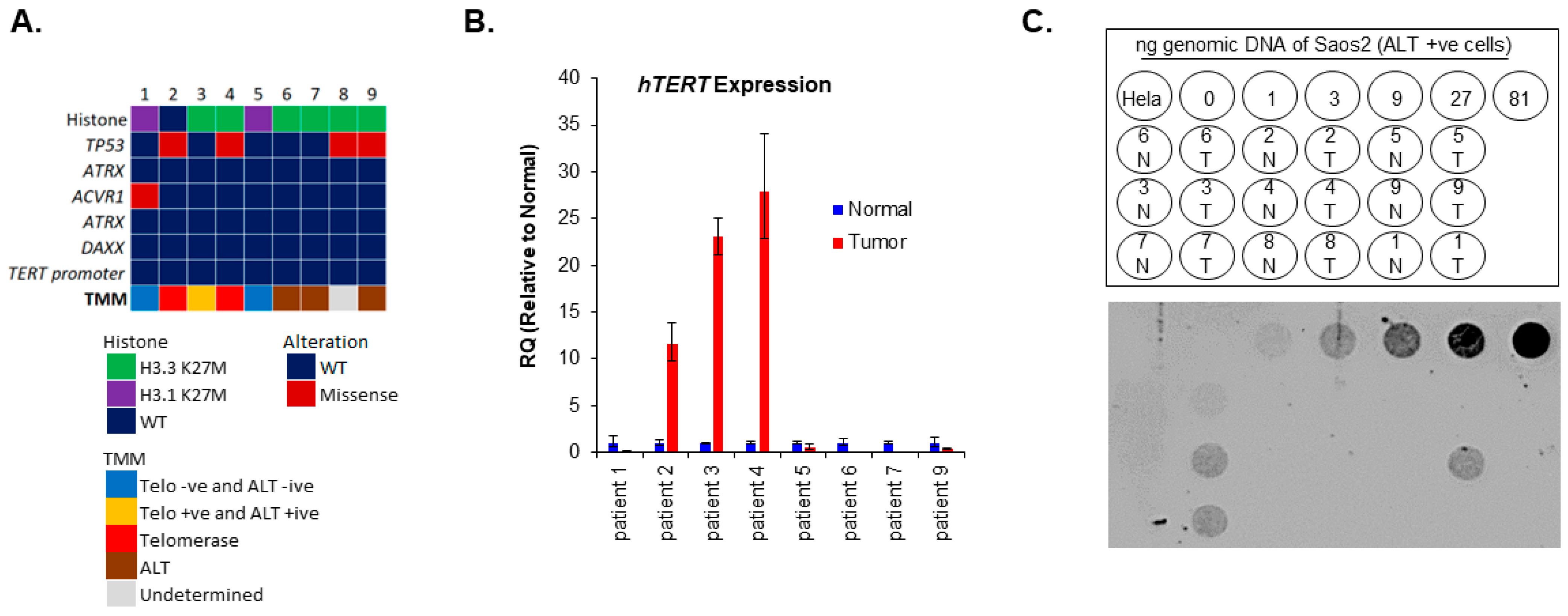 Cancers 15 03070 g001