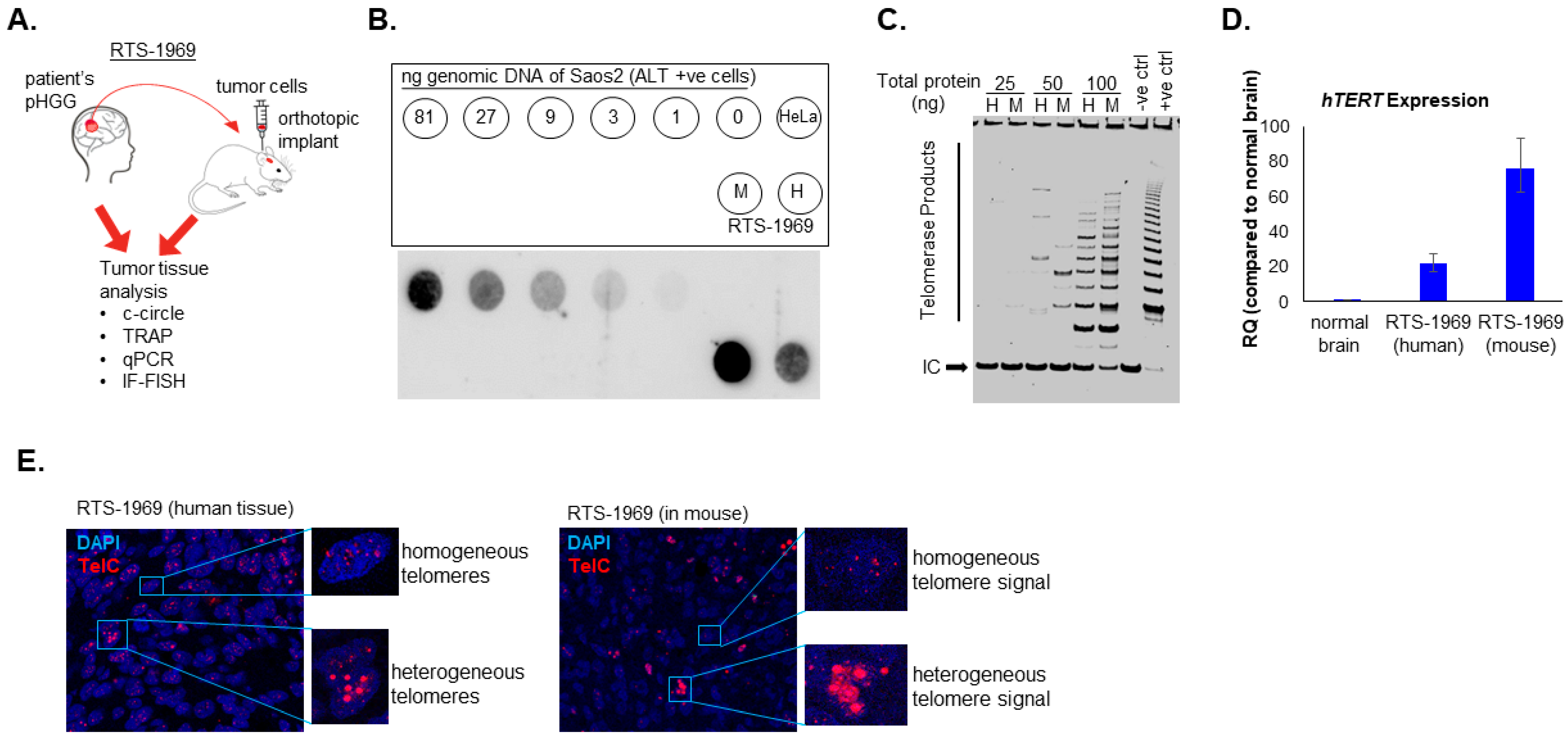 Cancers 15 03070 g002