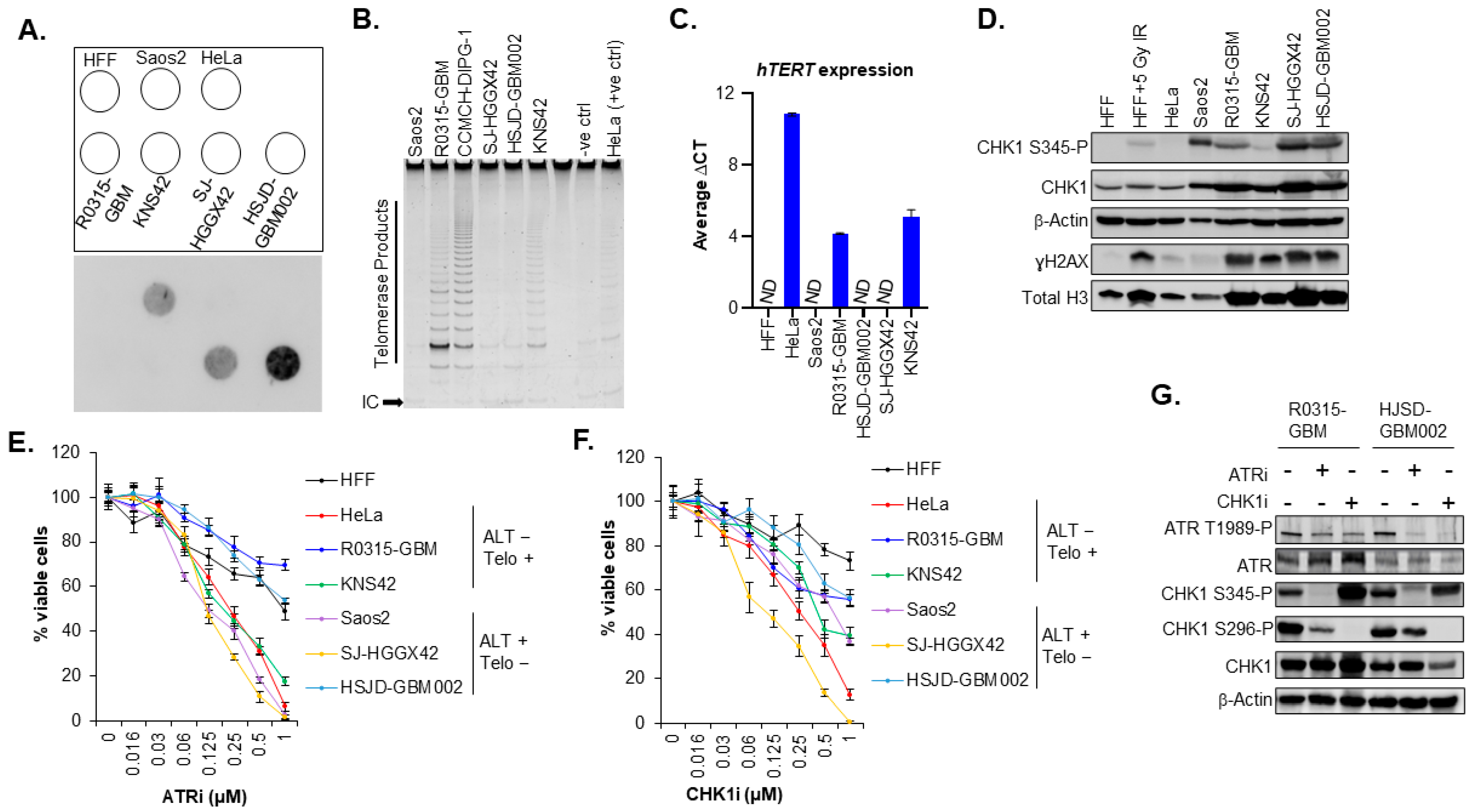 Cancers 15 03070 g003