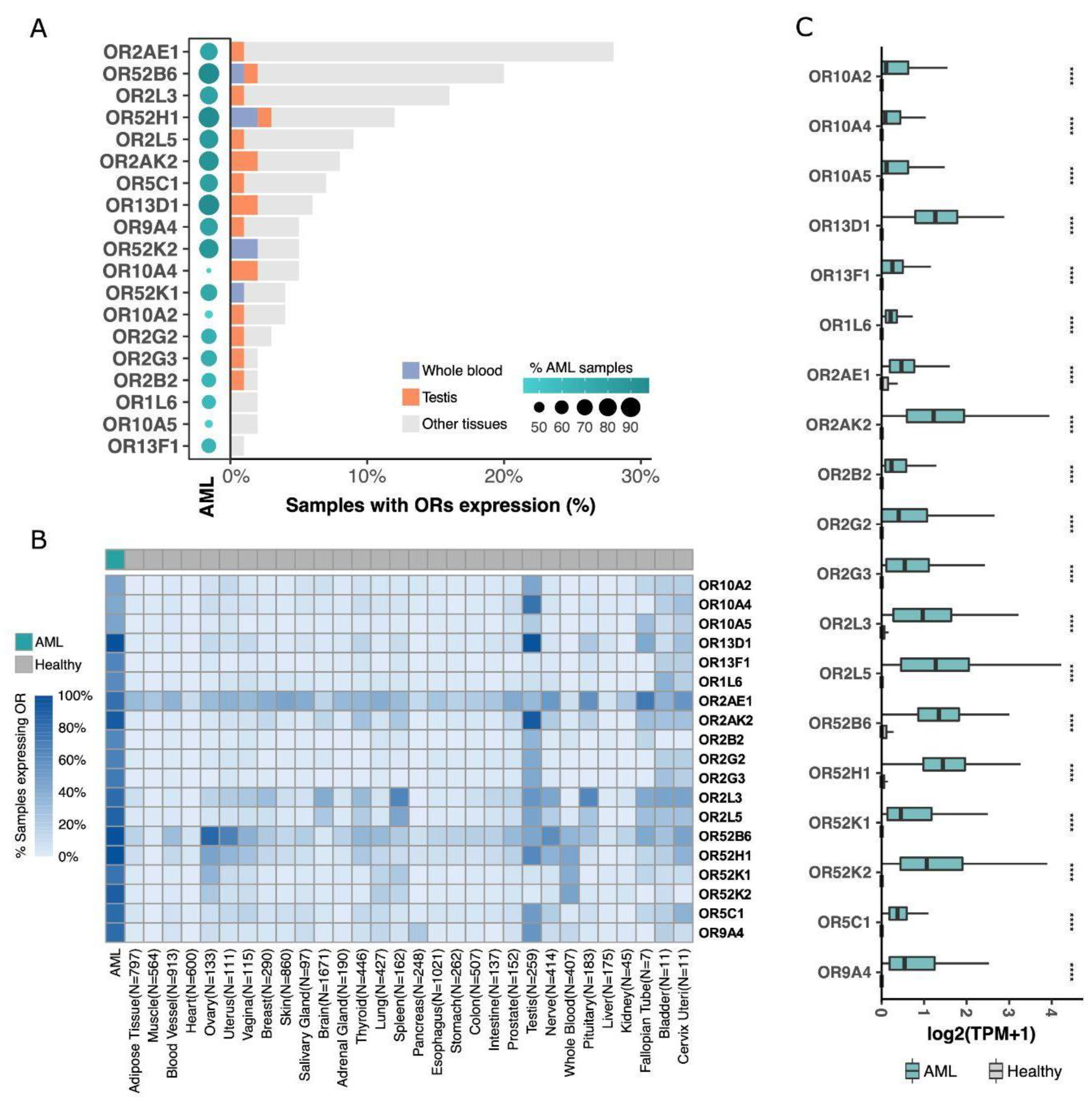 Cancers 15 03073 g002