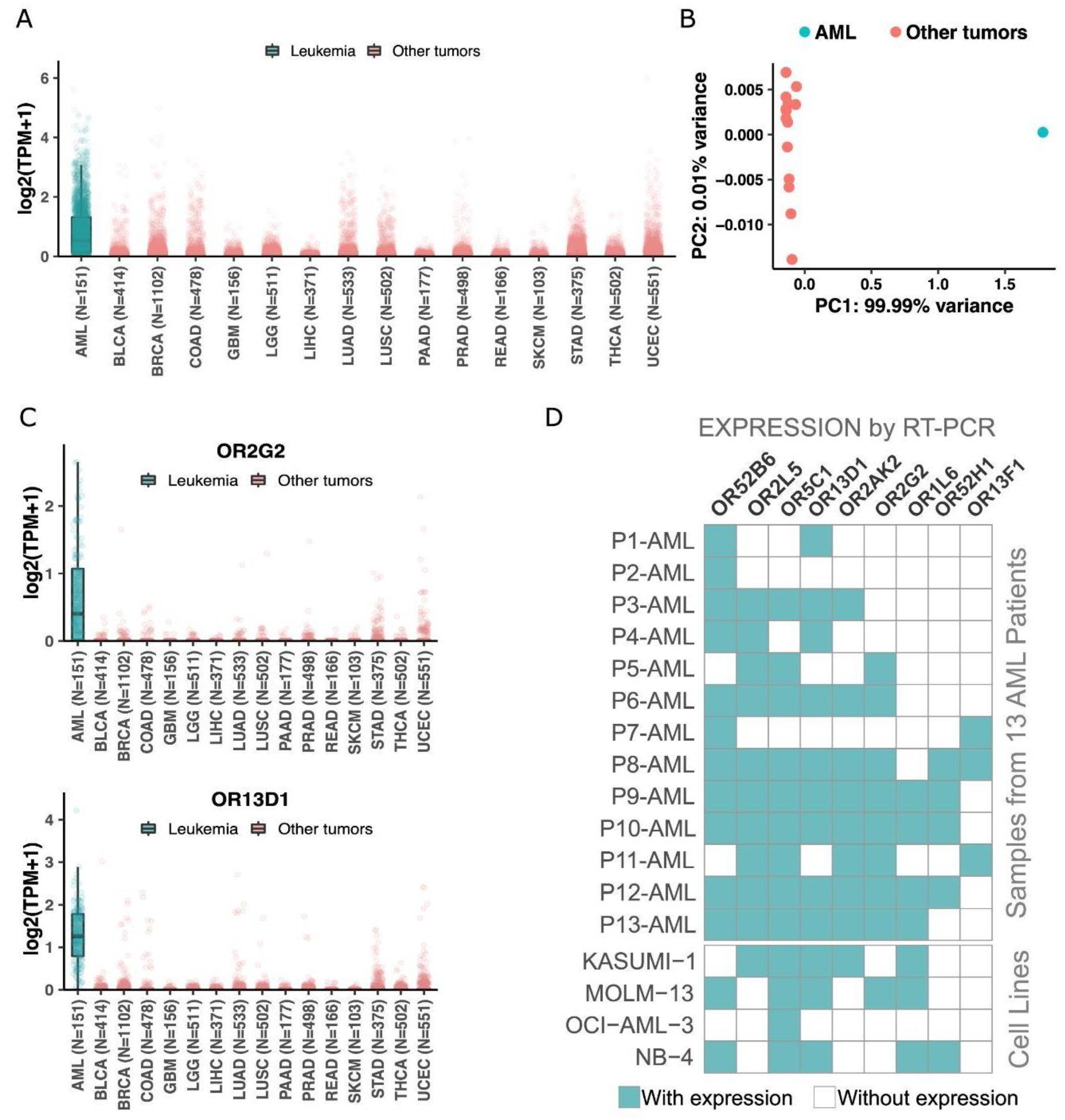 Cancers 15 03073 g004