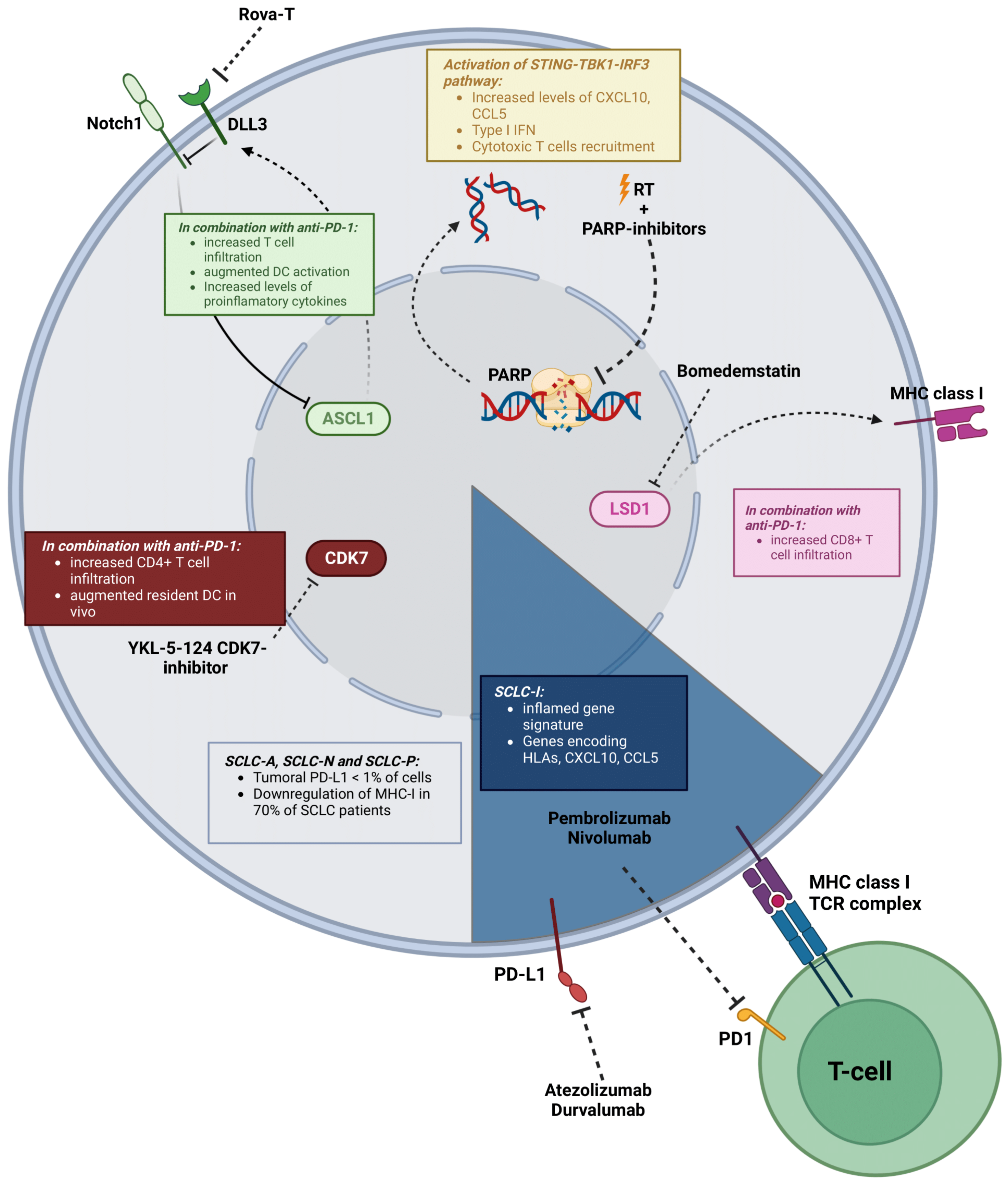 Cancers 15 03076 g002