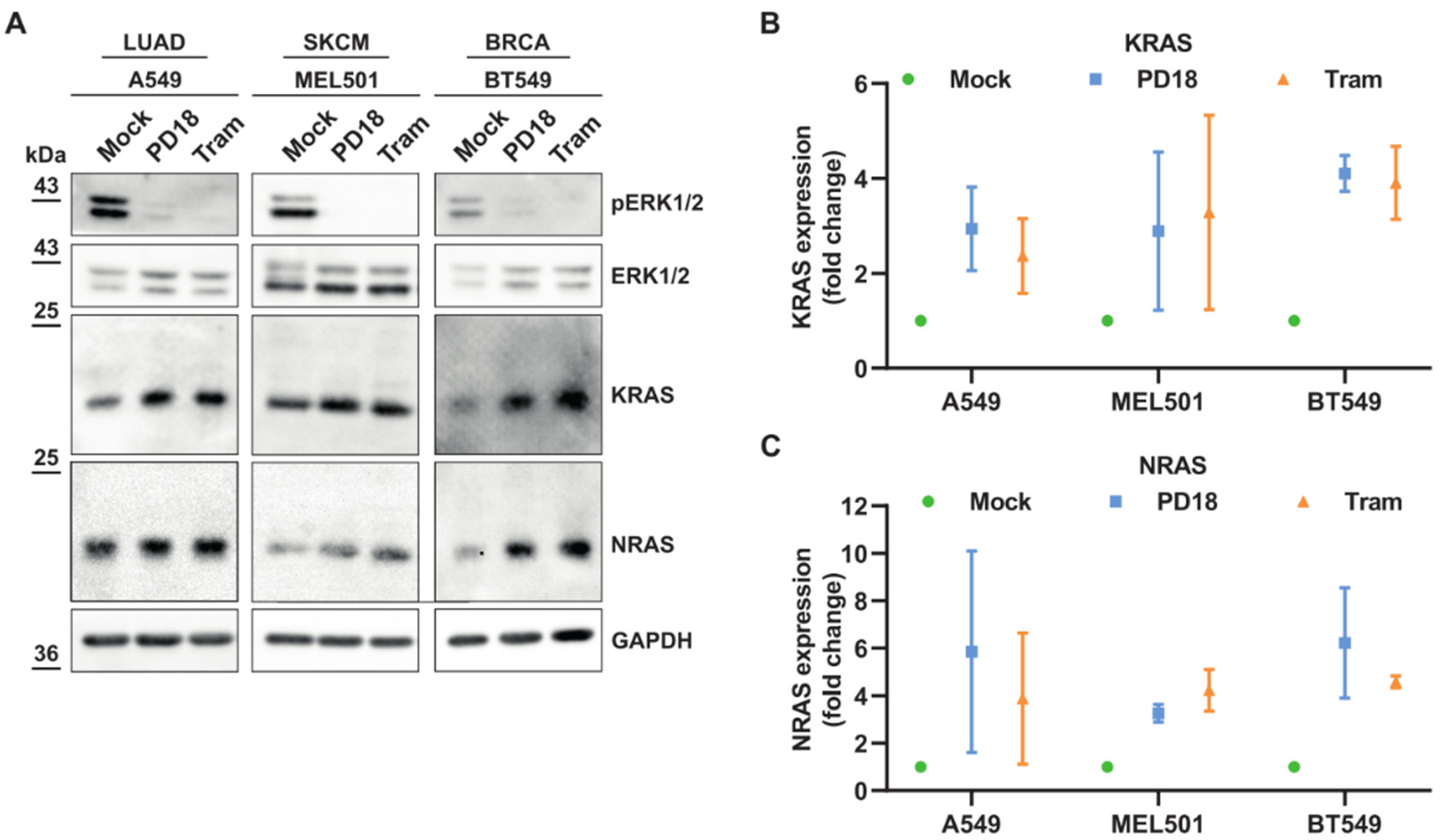 Cancers 15 03078 g001