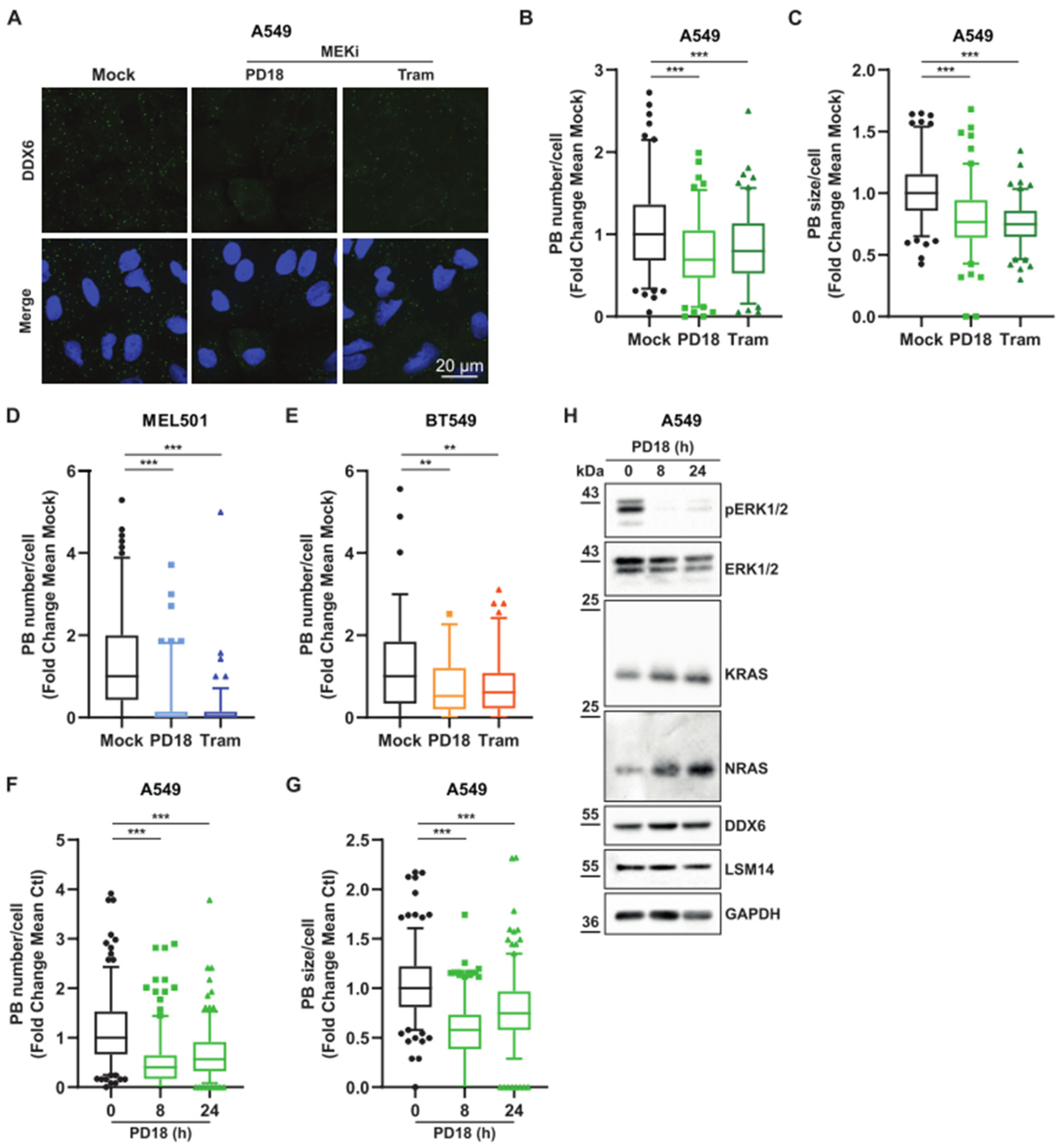 Cancers 15 03078 g003