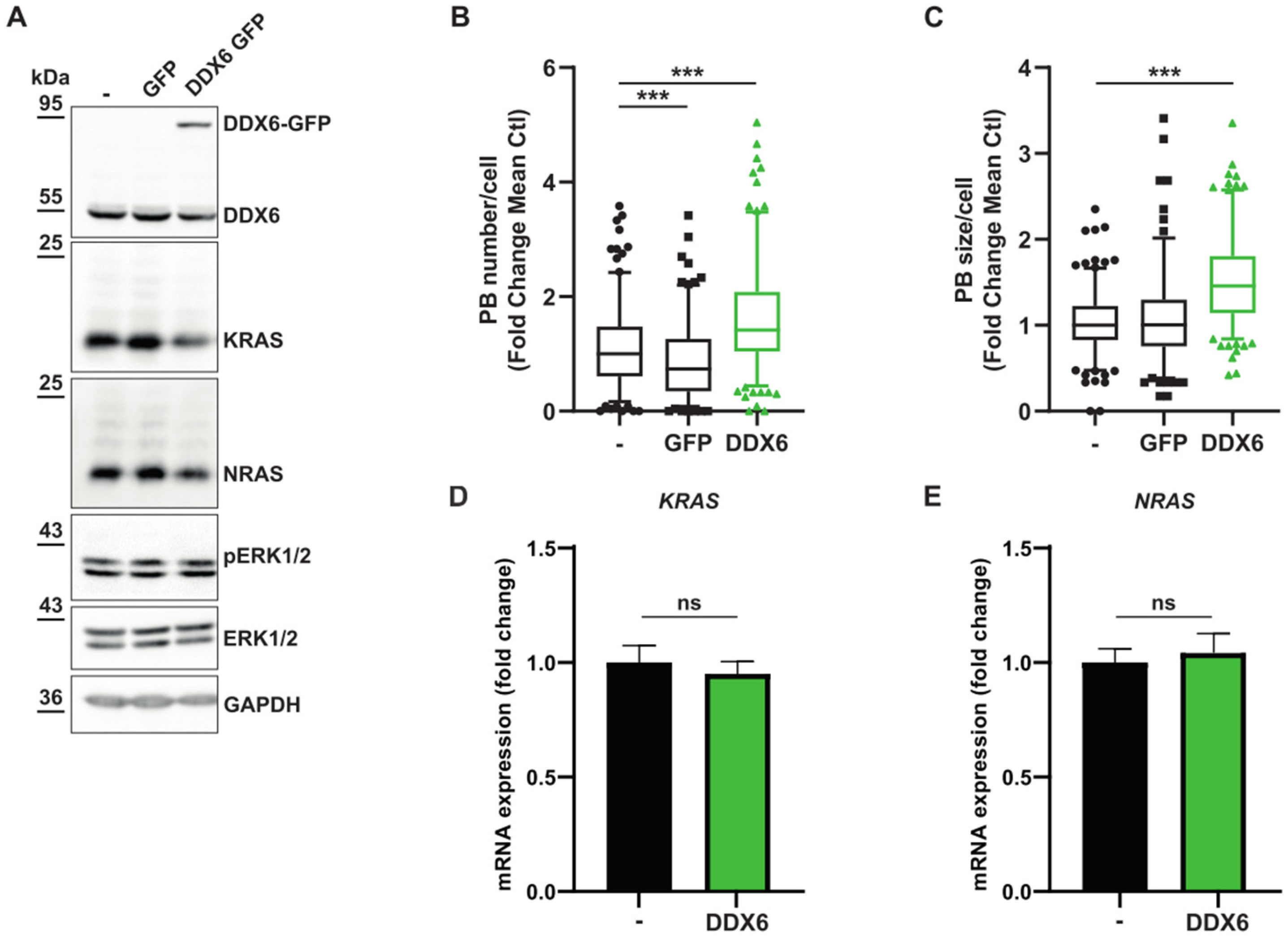 Cancers 15 03078 g004