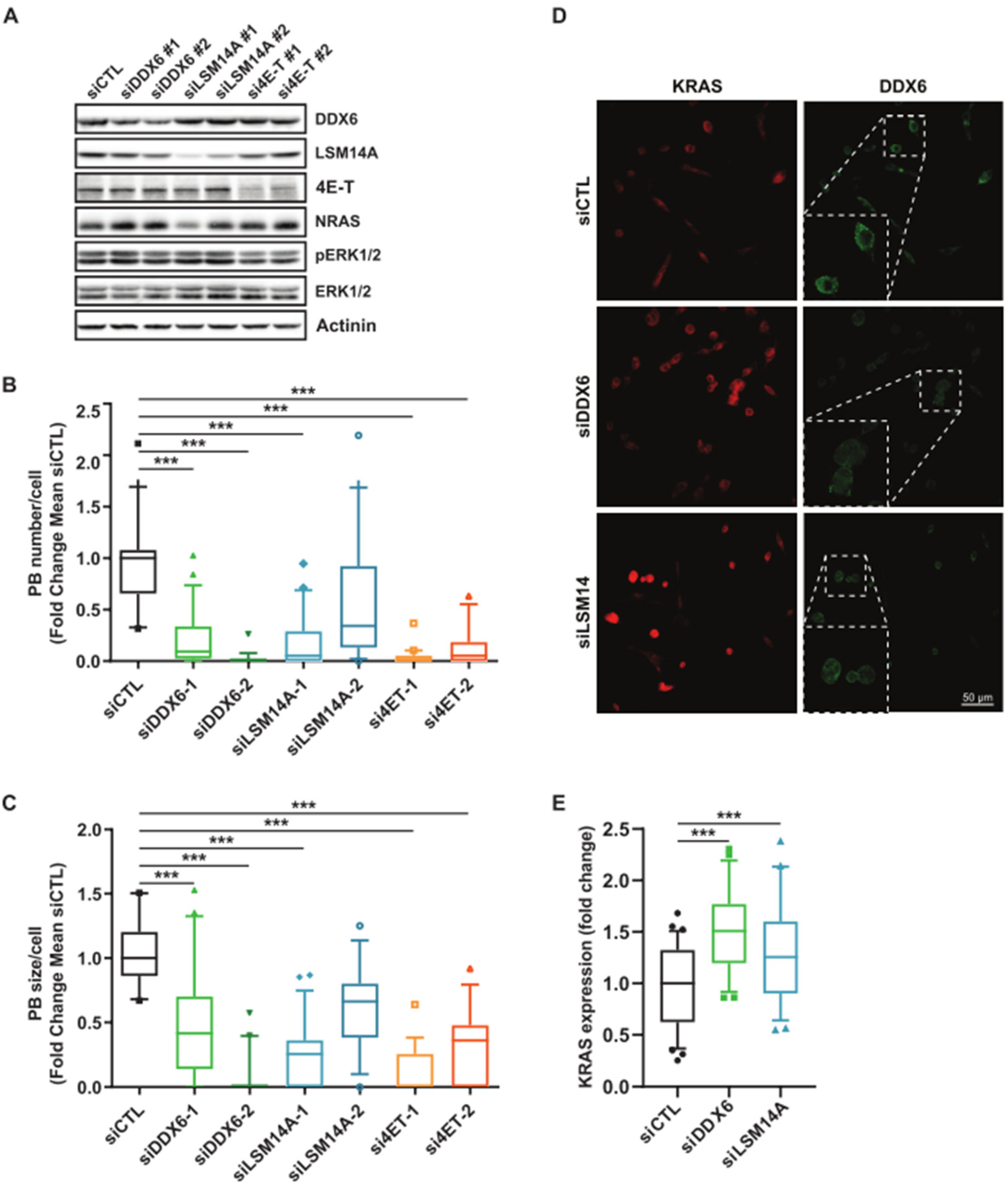 Cancers 15 03078 g005