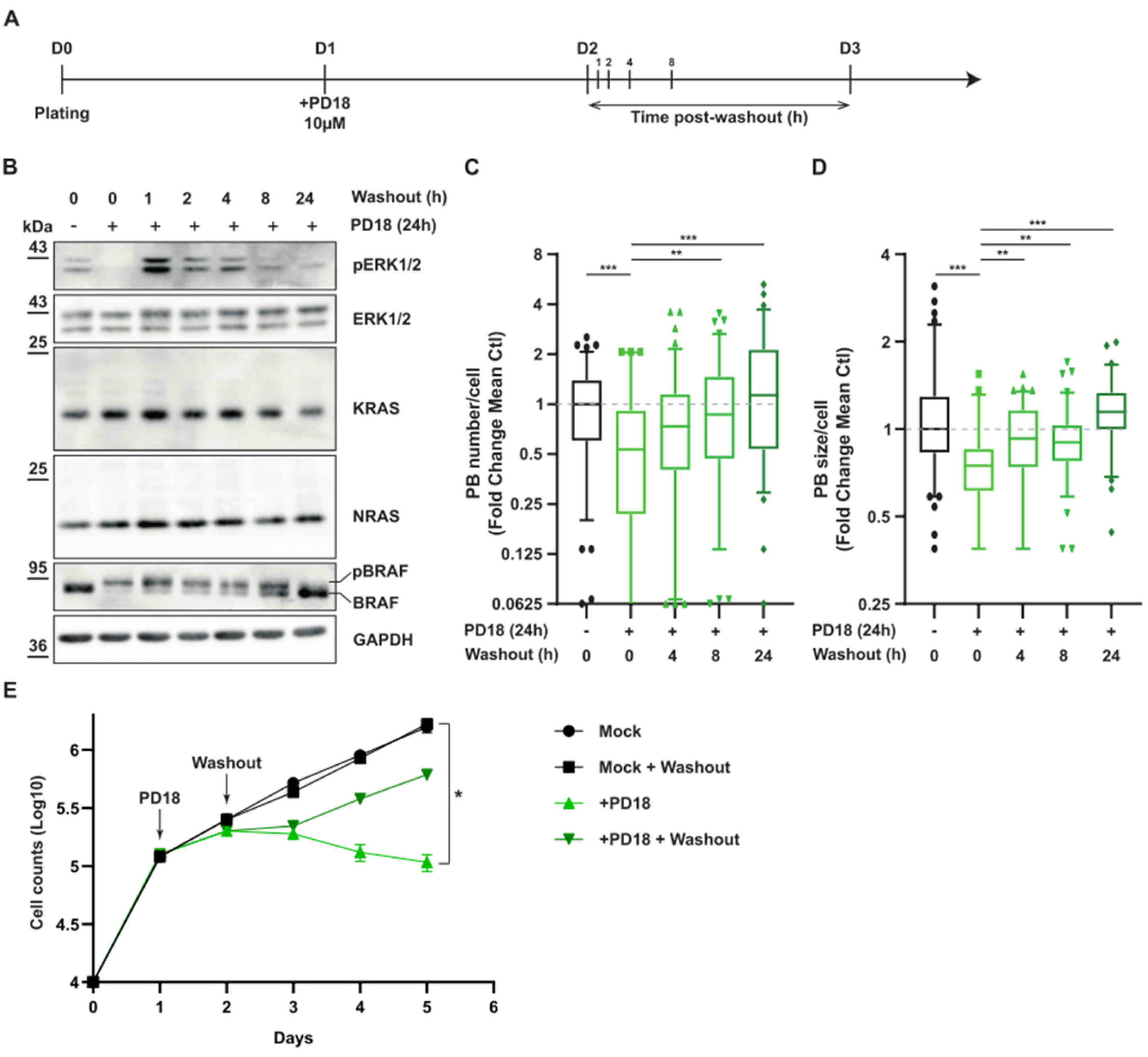 Cancers 15 03078 g007