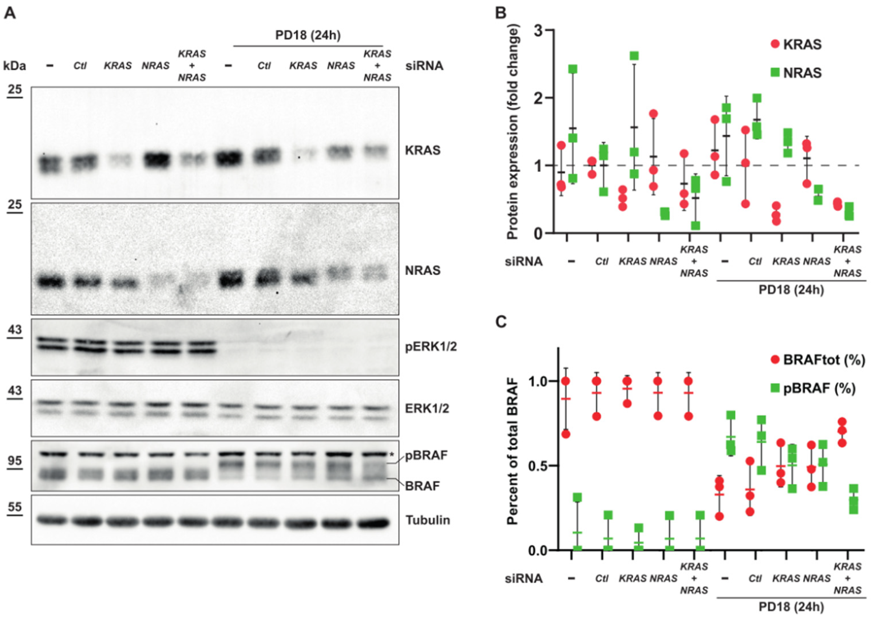 Cancers 15 03078 g008