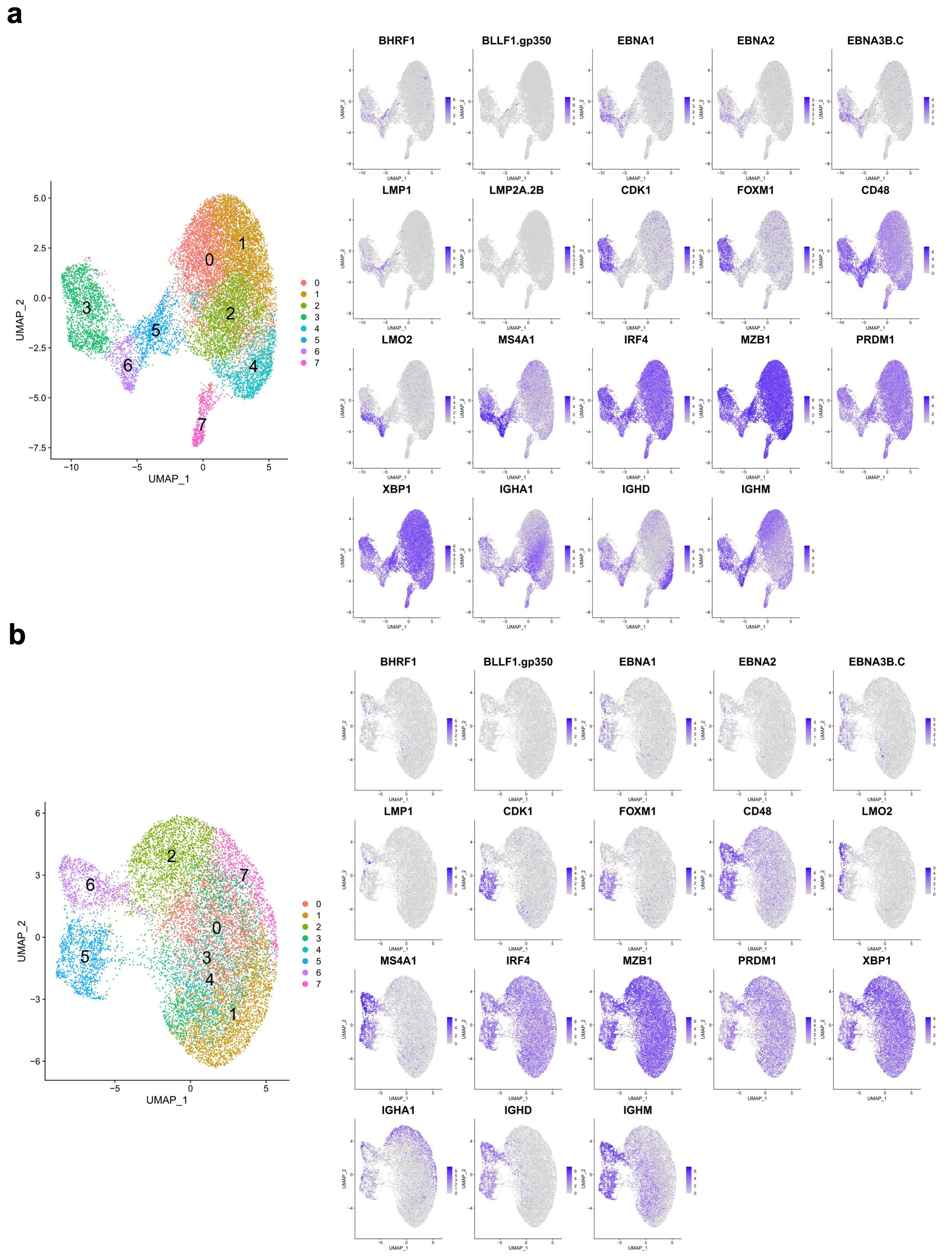 Cancers 15 03083 g003
