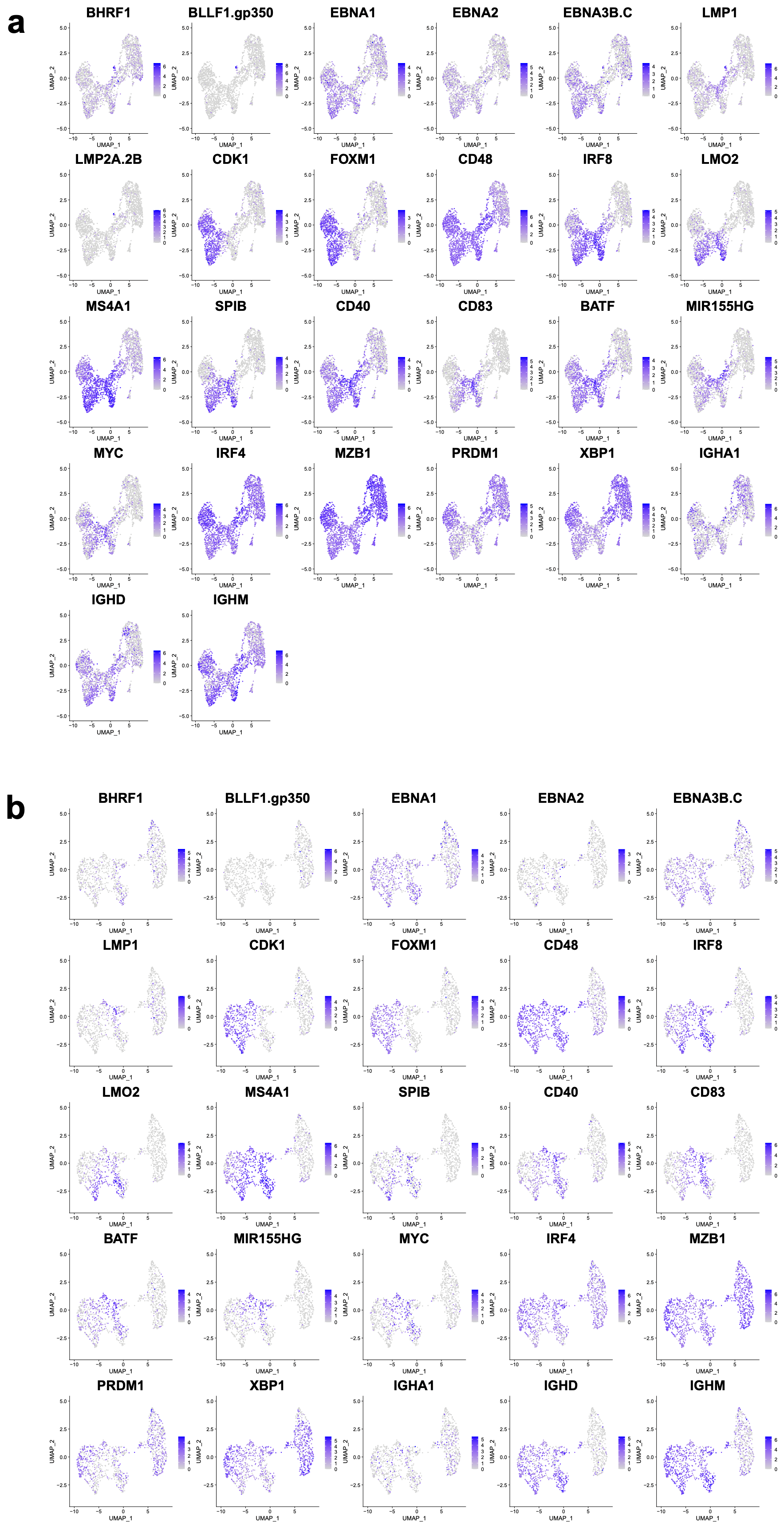 Cancers 15 03083 g005